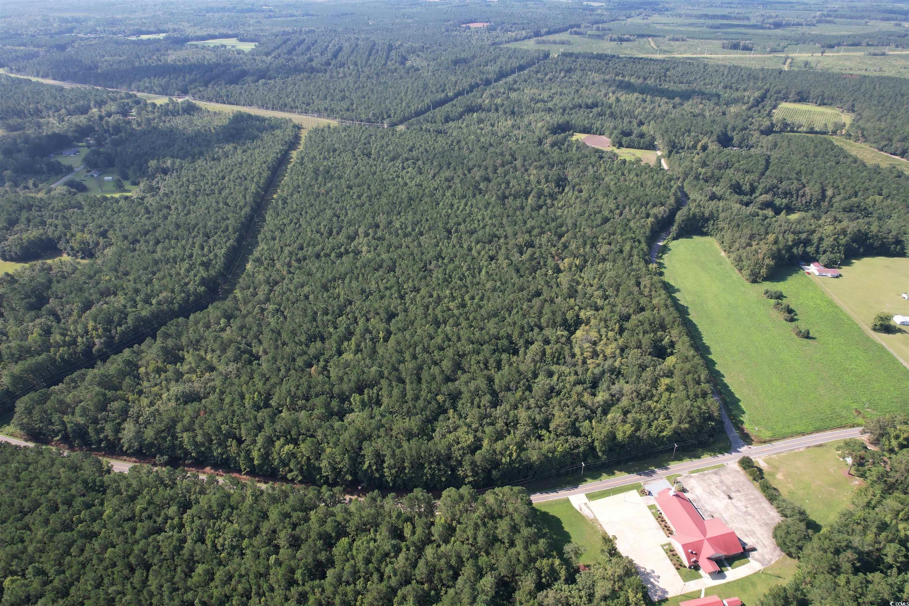 33.5-acres-tbd Union Church Road Salters, SC 29590 - Photo 19 of 22