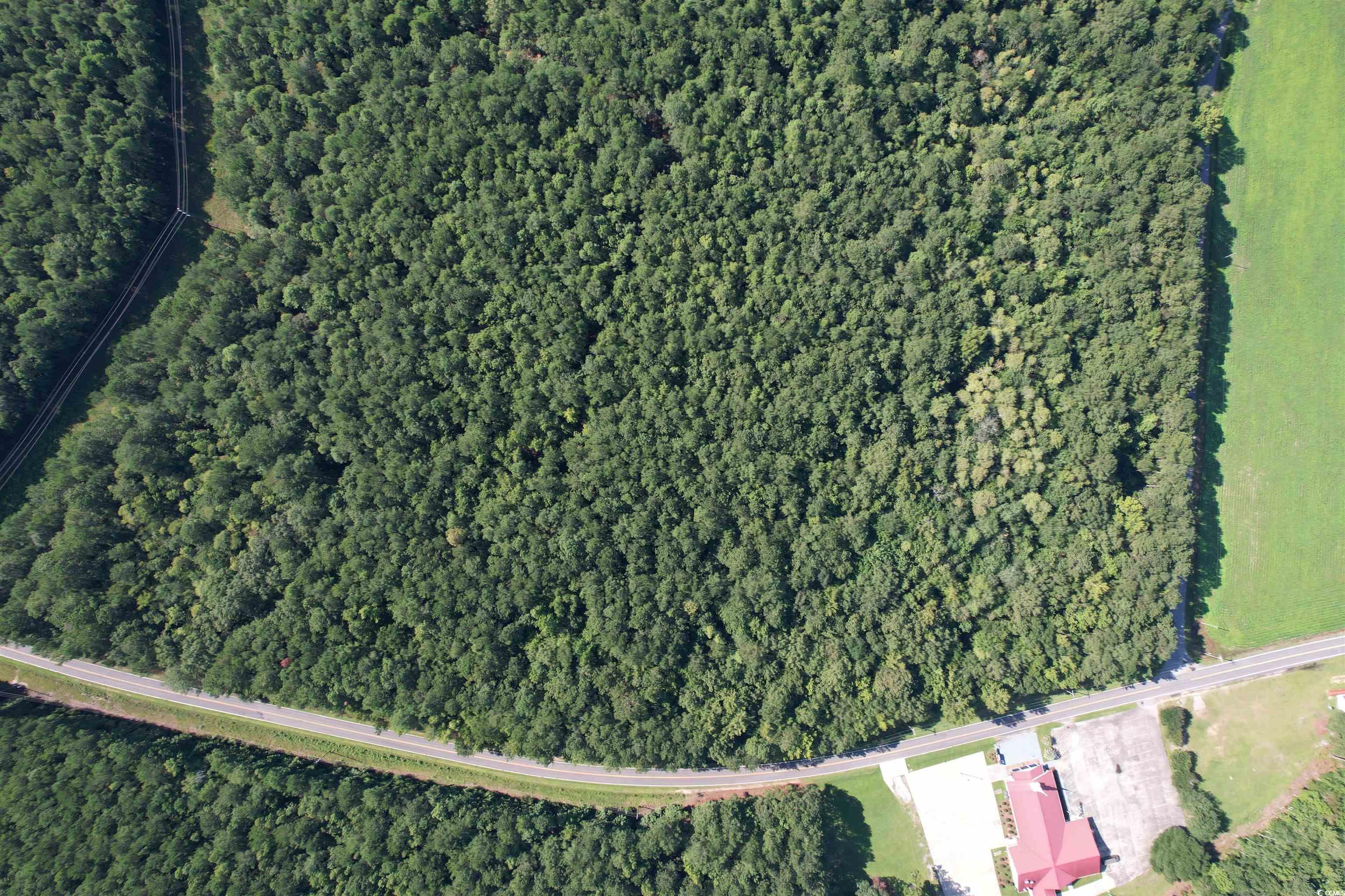 33.5-acres-tbd Union Church Road Salters, SC 29590 - Photo 20 of 22