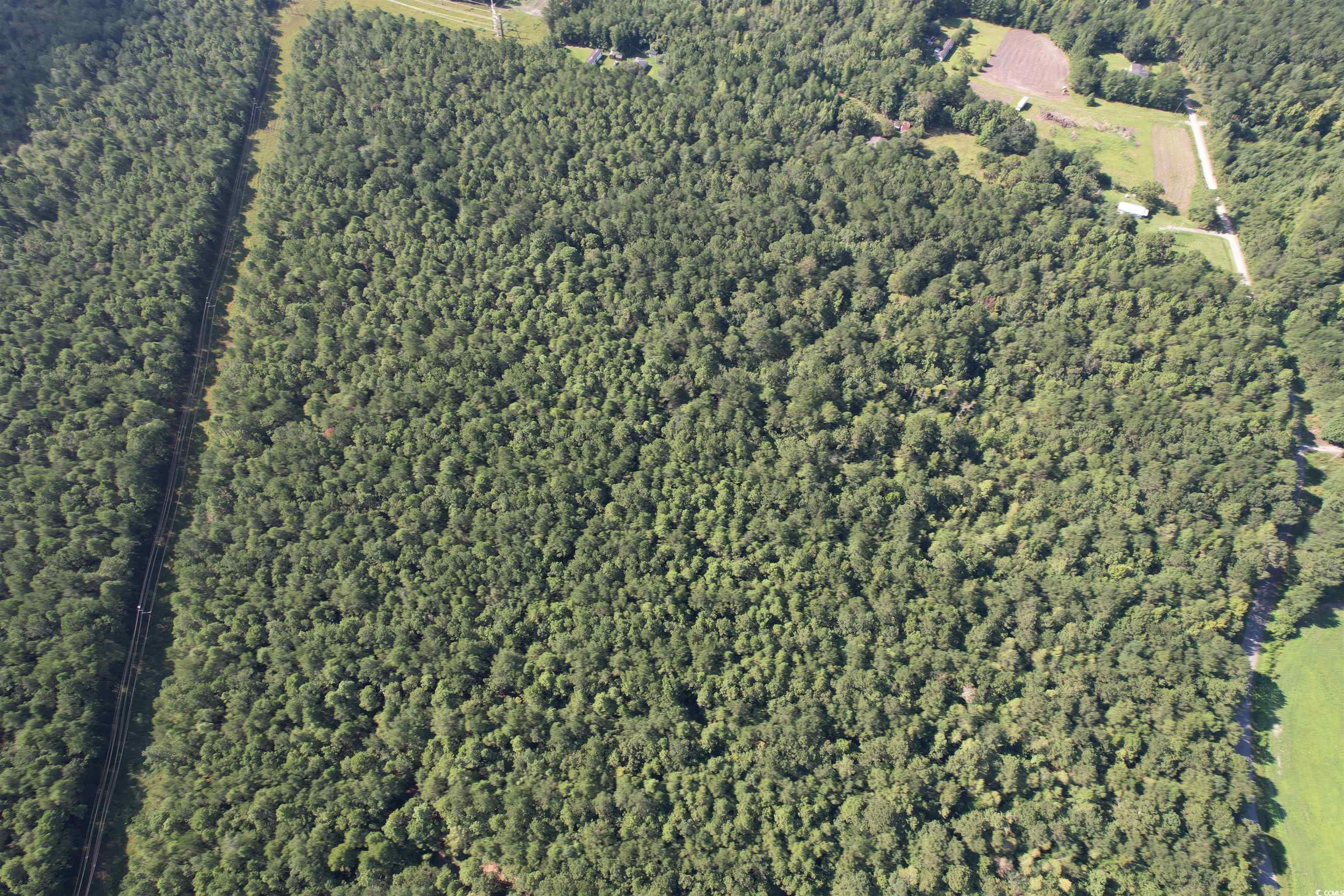 33.5-acres-tbd Union Church Road Salters, SC 29590 - Photo 21 of 22