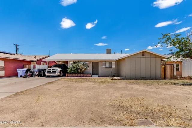 a big room with potted plants and a large tree