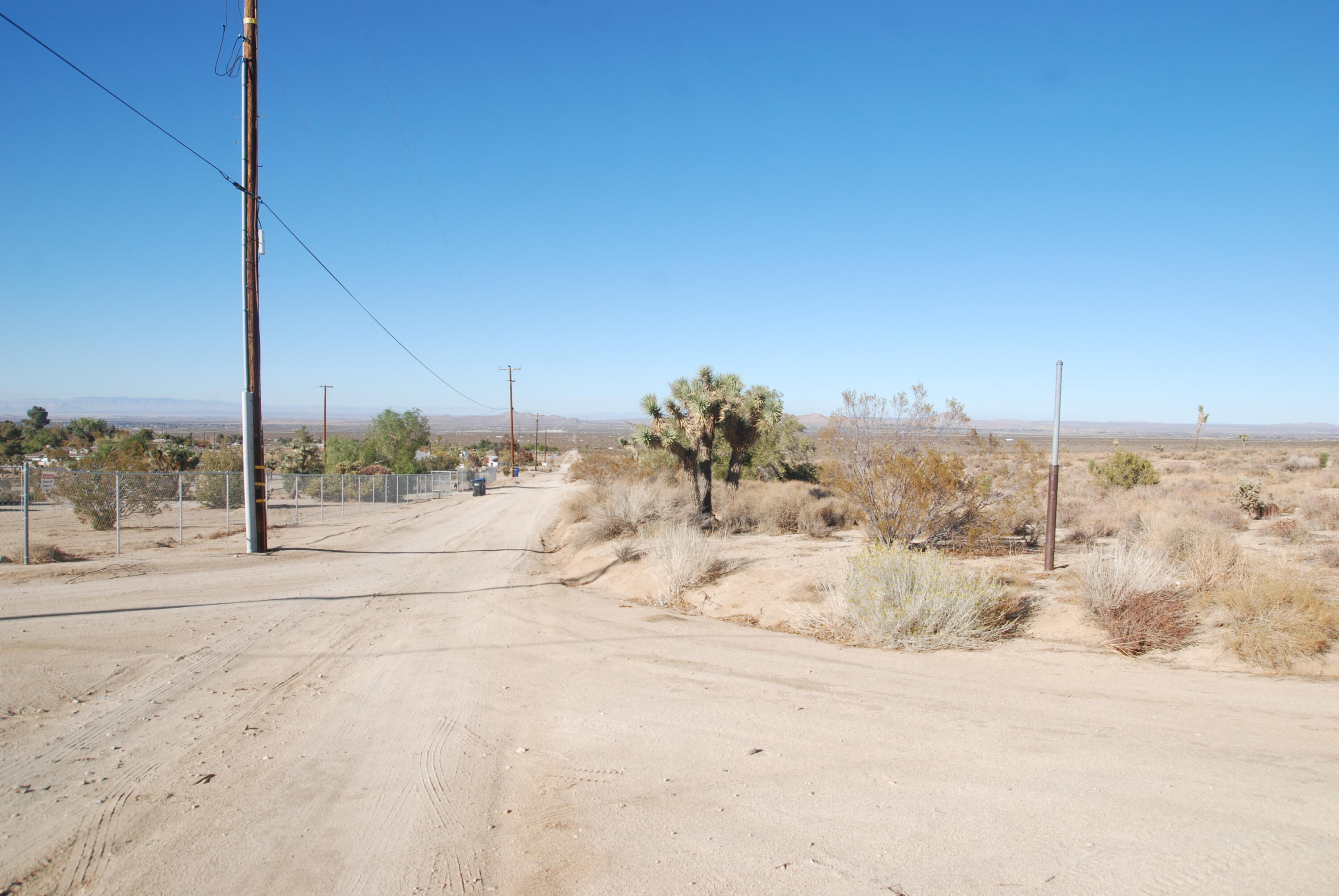 136 Vic Street, Unit E W12 Pearblossom, CA 93553 - Photo 16 of 20 a view of a dry yard with a tree