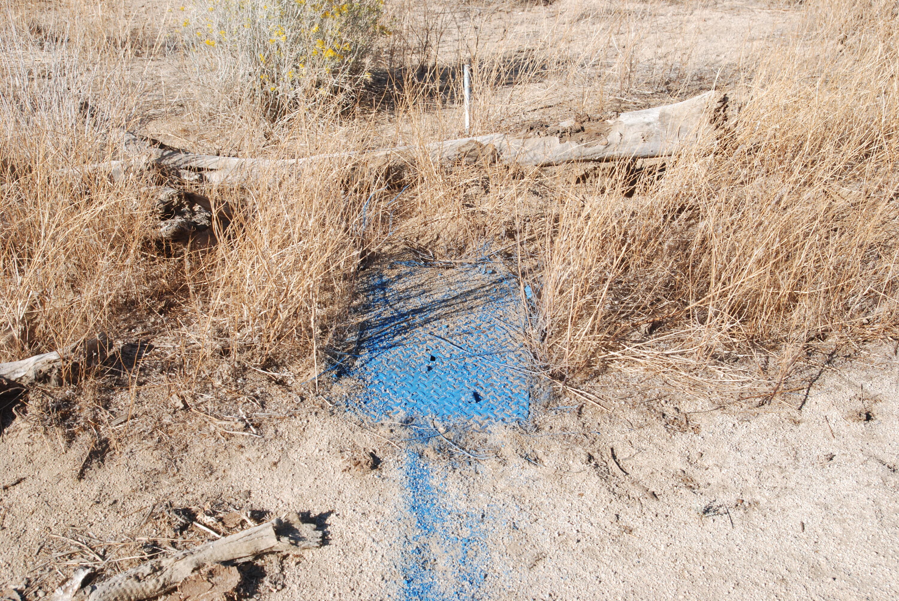 136 Vic Street, Unit E W12 Pearblossom, CA 93553 - Photo 4 of 20