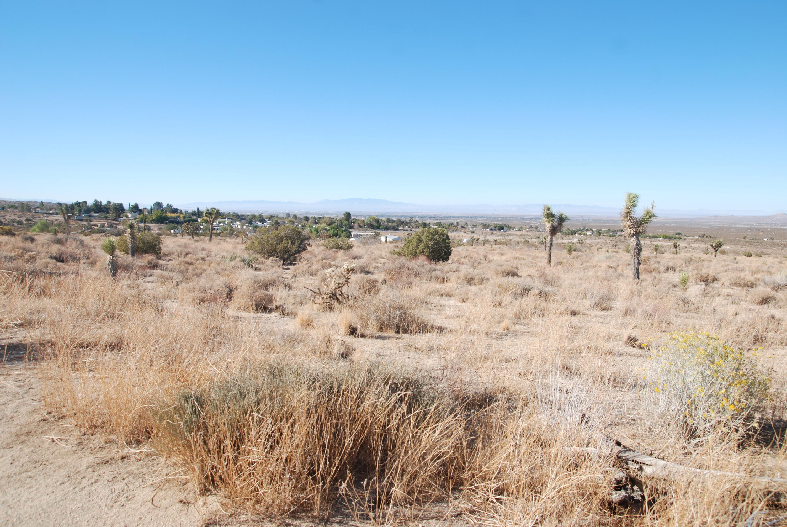 136 Vic Street, Unit E W12 Pearblossom, CA 93553 - Photo 5 of 20 a view of beach and ocean
