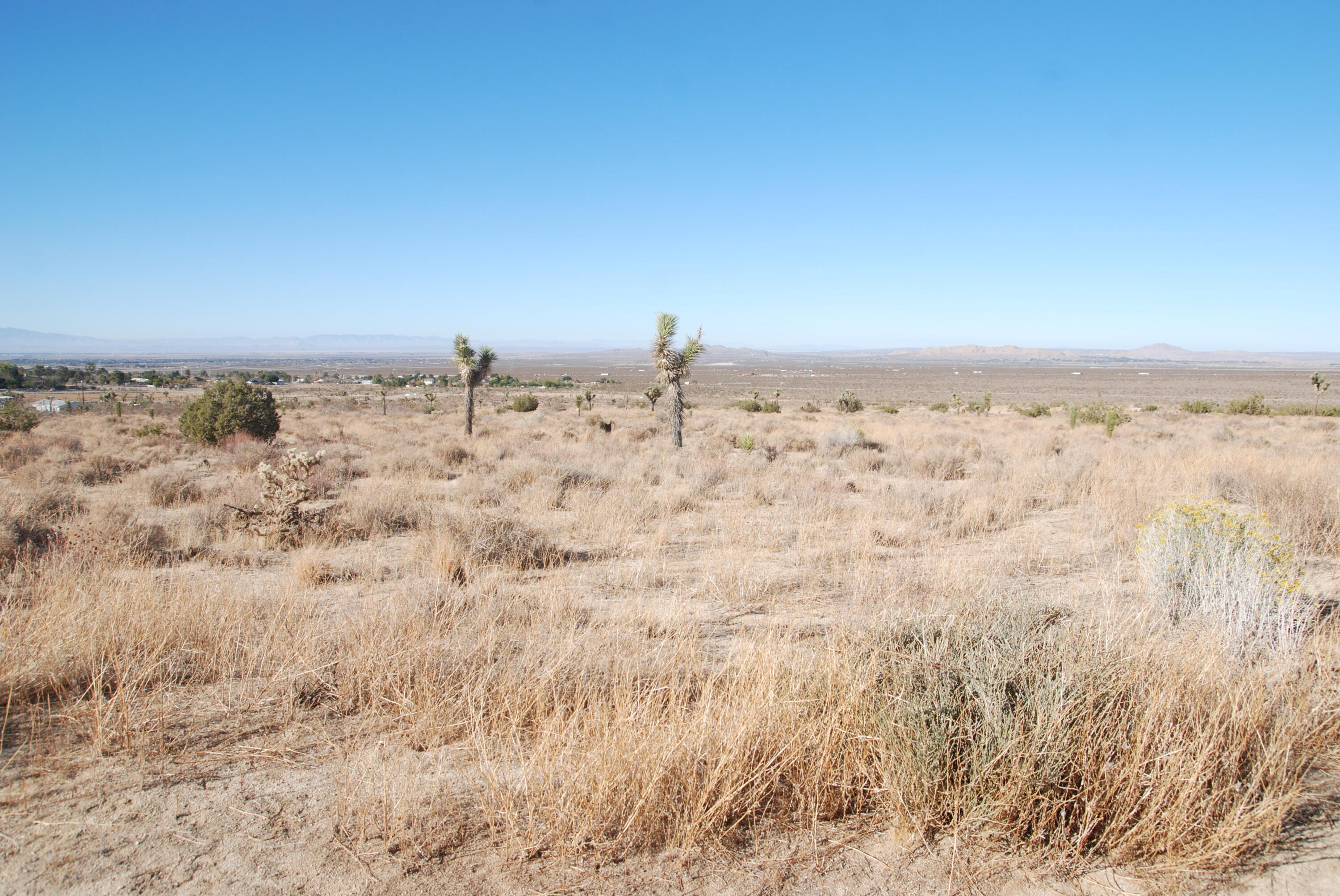 136 Vic Street, Unit E W12 Pearblossom, CA 93553 - Photo 7 of 20 a view of beach and covered with fog