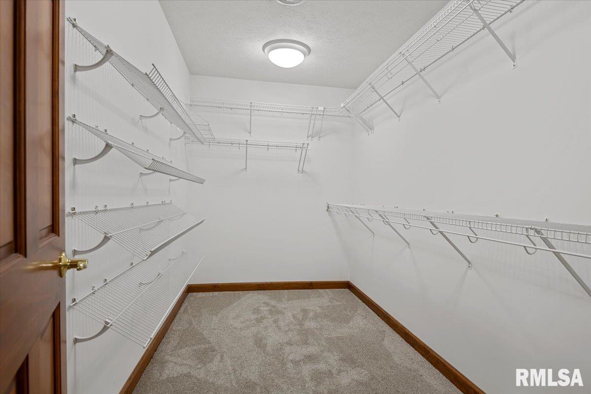 47 Woodland Trail Rochester, IL 62563 - Photo 48 of 96