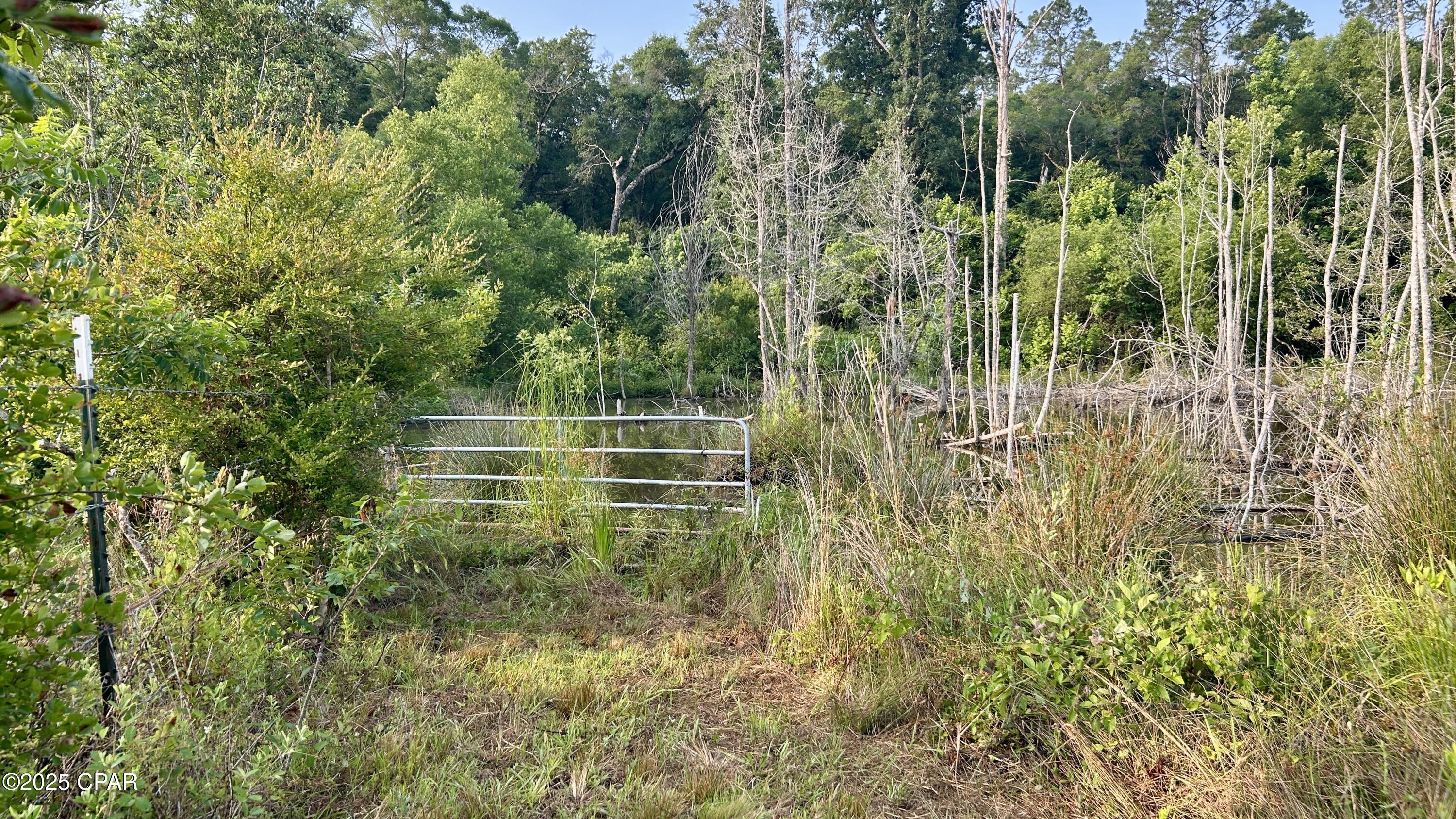 0 Alred Road Westville, FL 32464 - Photo 13 of 35 Gallery Image 13