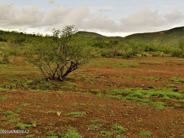 40.36 Acres Douglas, AZ 85607 - Photo 5 of 16 Gallery Image 5