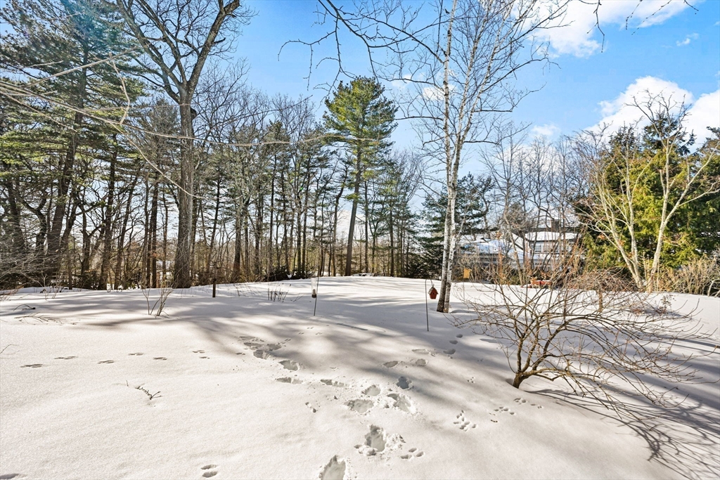 72 Meriam Street Lexington, MA 02420 - Photo 40 of 42