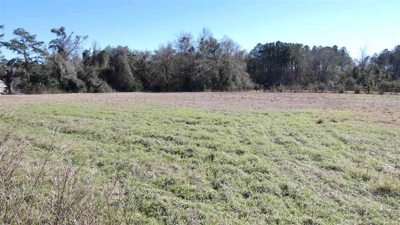 Tbd Too Long Keen Road Monticello, FL 32344 - Photo 3 of 3 Gallery Image 3