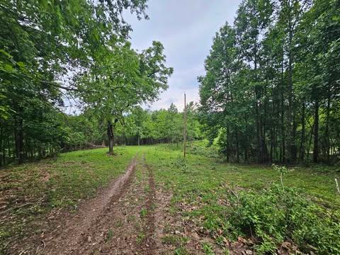 1366 Spring Valley Road Marion, VA 24354 - Photo 13 of 21 Gallery Image 13