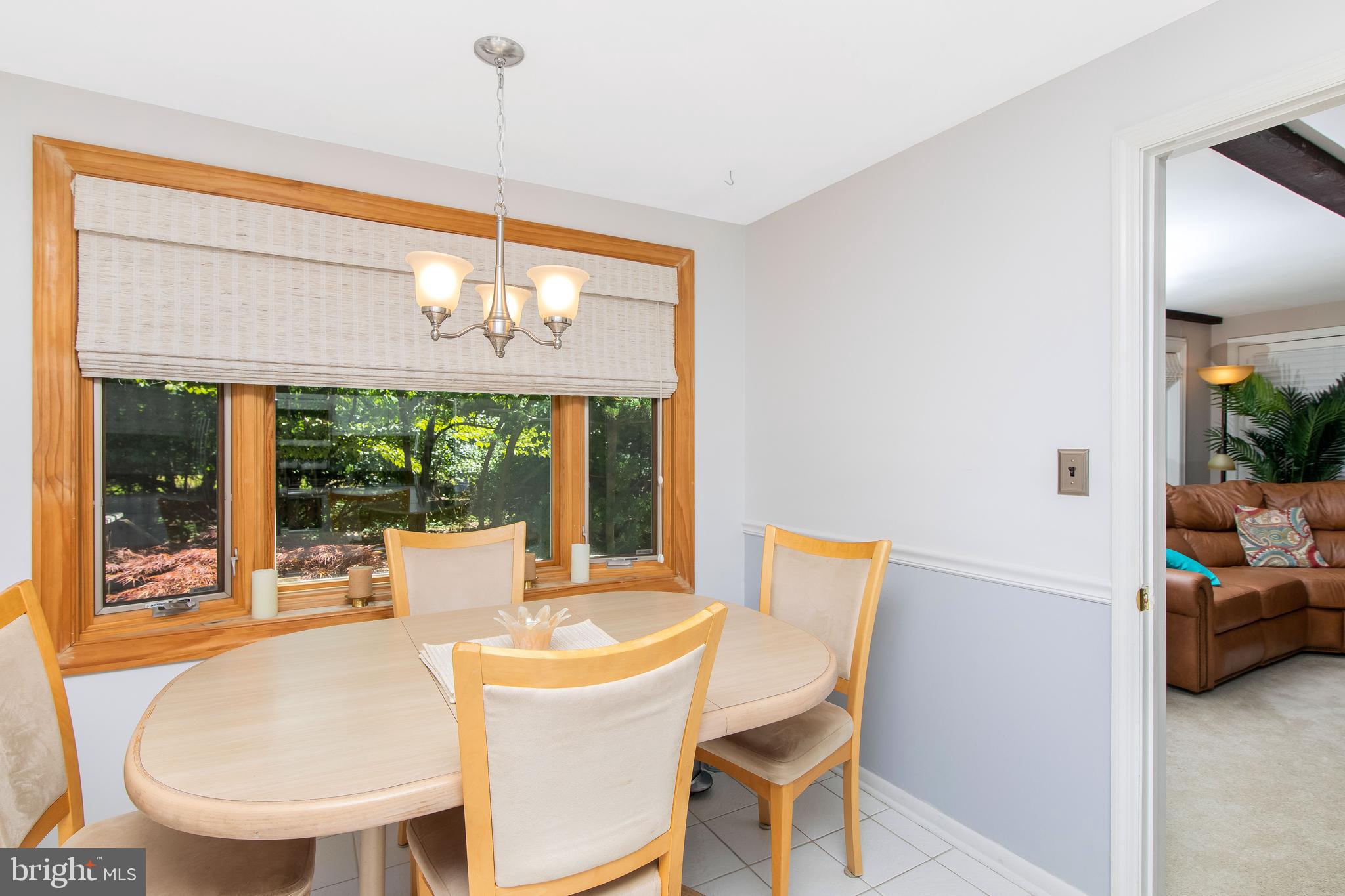 107 West Riding Road Cherry Hill, NJ 08003 - Photo 22 of 44 Awesome Window: Beautiful Views of Nature