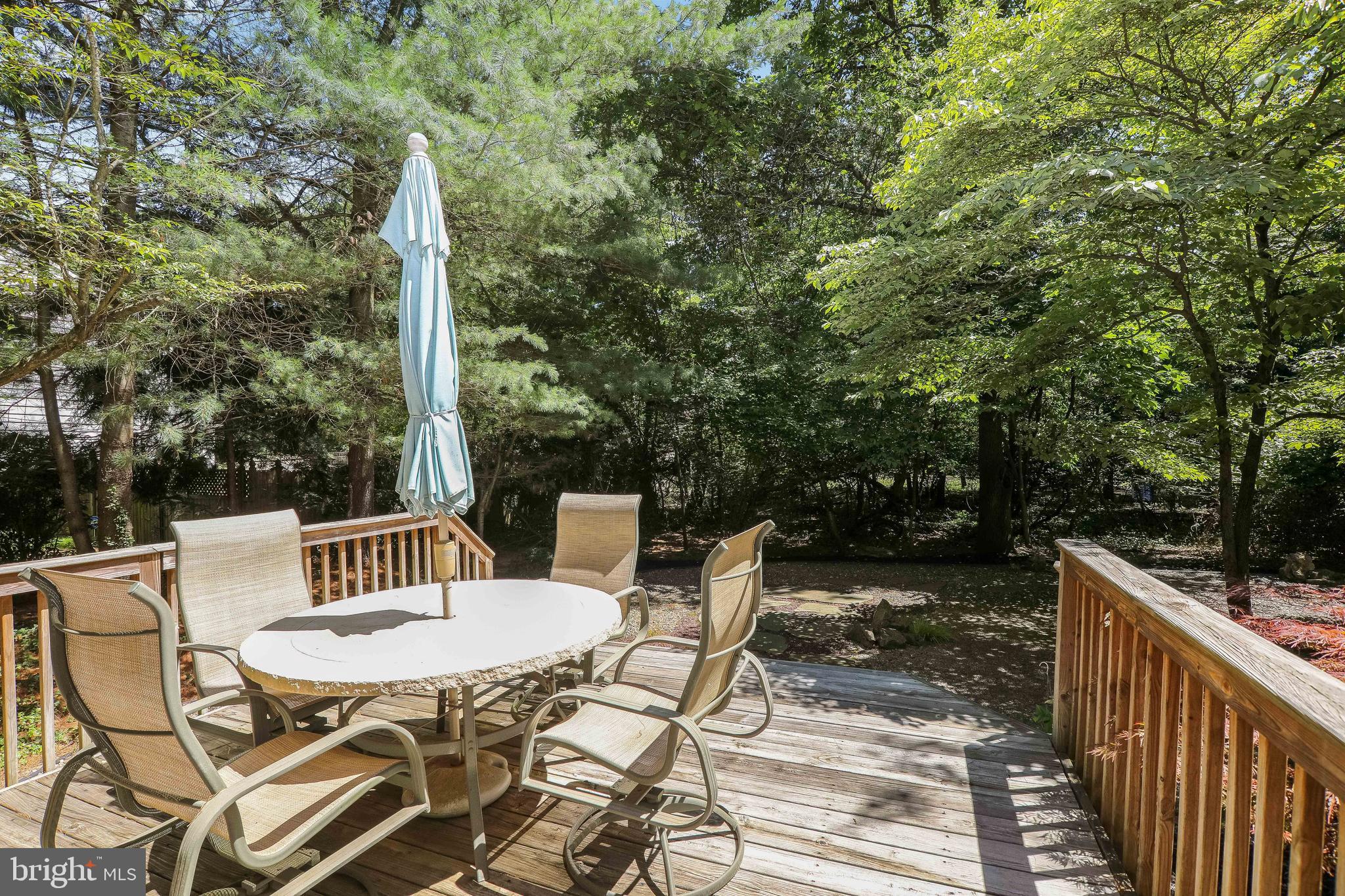 107 West Riding Road Cherry Hill, NJ 08003 - Photo 8 of 44 Surrounded by Nature