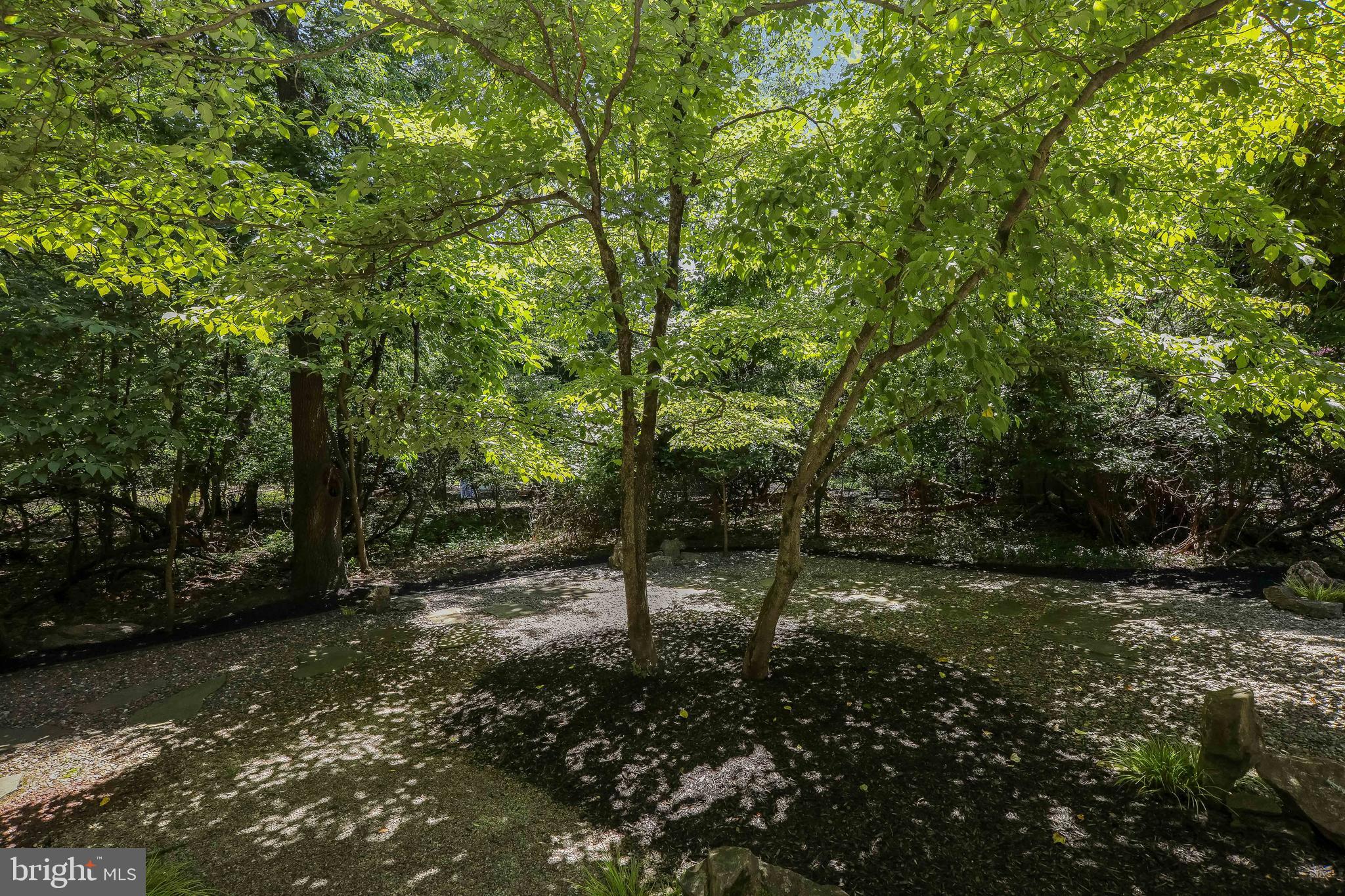 107 West Riding Road Cherry Hill, NJ 08003 - Photo 9 of 44 Wooded Views