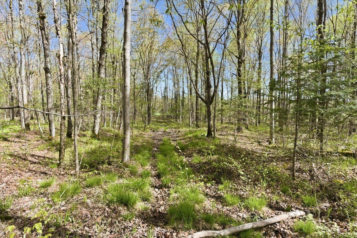 W585 Strucker Road Ogema, WI 54459 - Photo 3 of 55