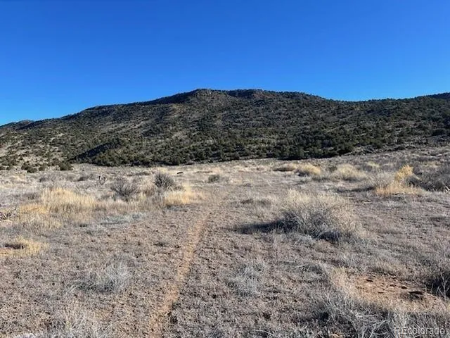 $28,000 | 70 Old Stage Coach Road, San Luis, CO 81152