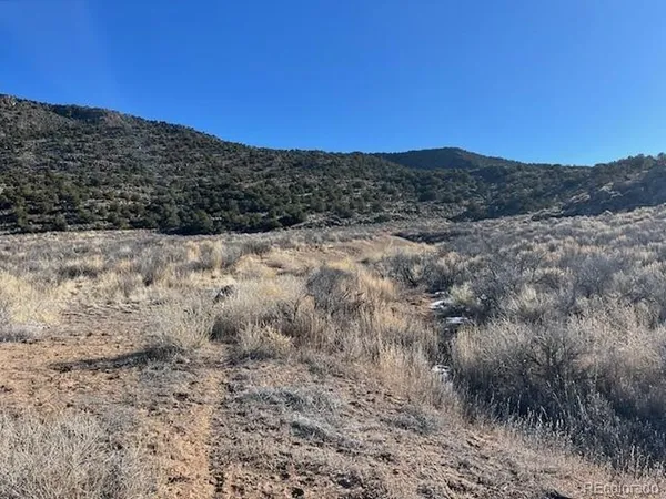 a view of a dry yard with mountains in the background