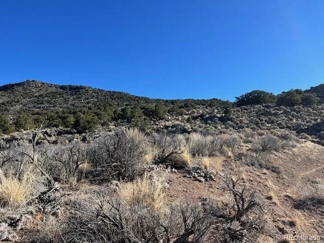 $28,000 | 70 Old Stage Coach Road, San Luis, CO 81152