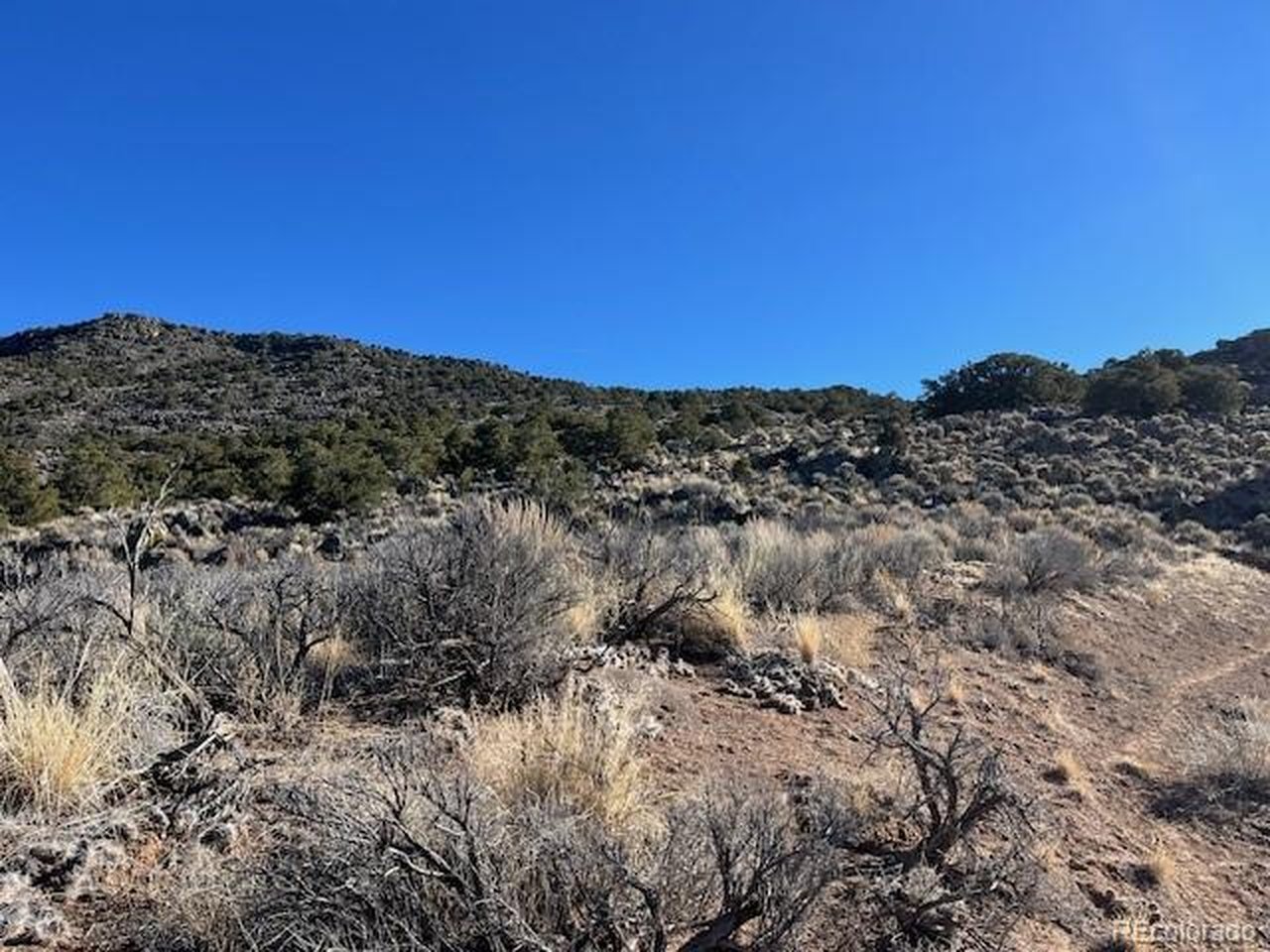 70 Old Stage Coach Road San Luis, CO 81152 - Photo 17 of 25