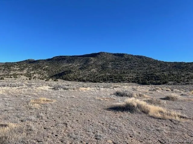 $28,000 | 70 Old Stage Coach Road, San Luis, CO 81152