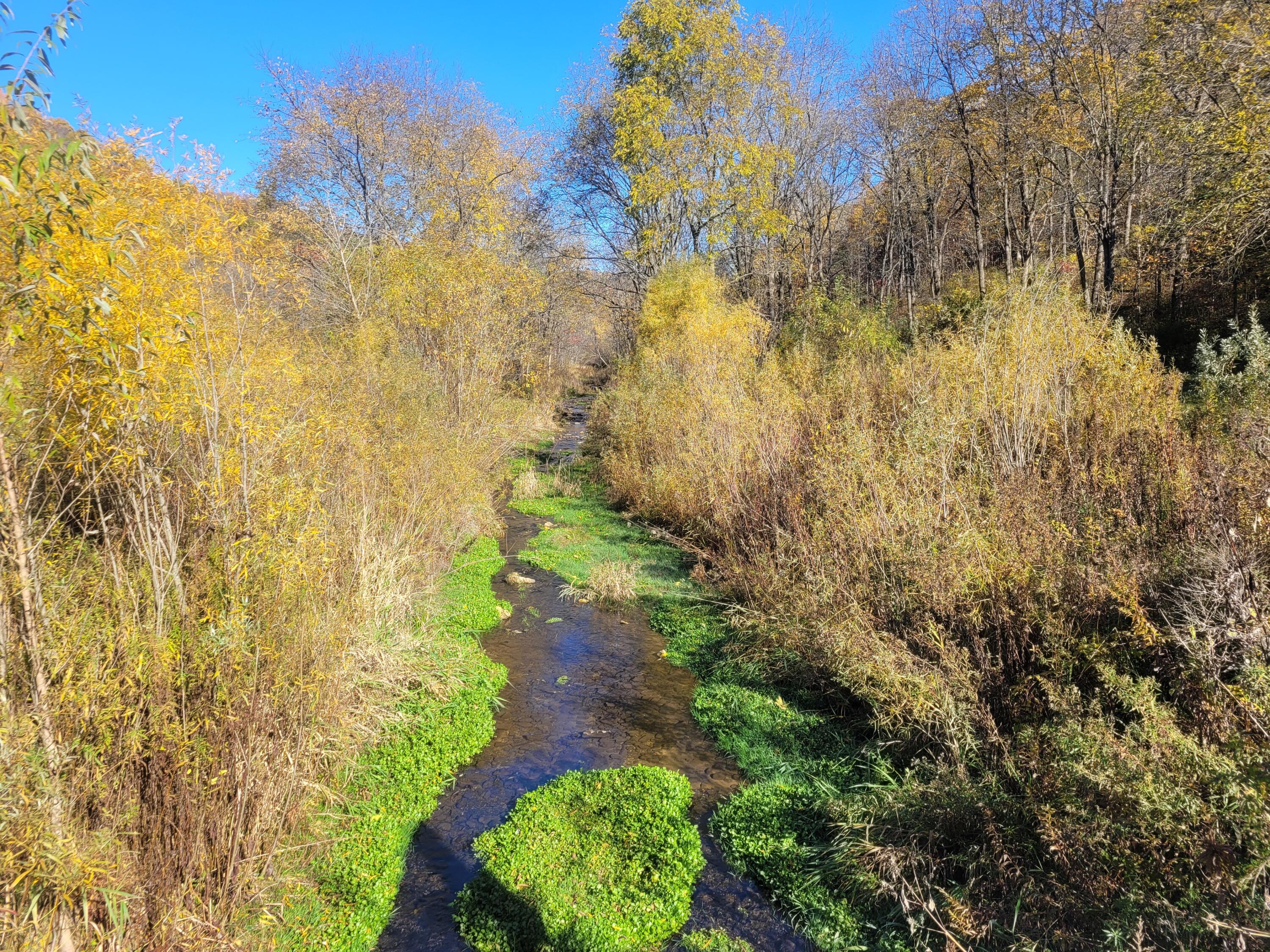 S4108 Haugrud Hollow Road Webster, WI 54639 - Photo 30 of 68 1000004272