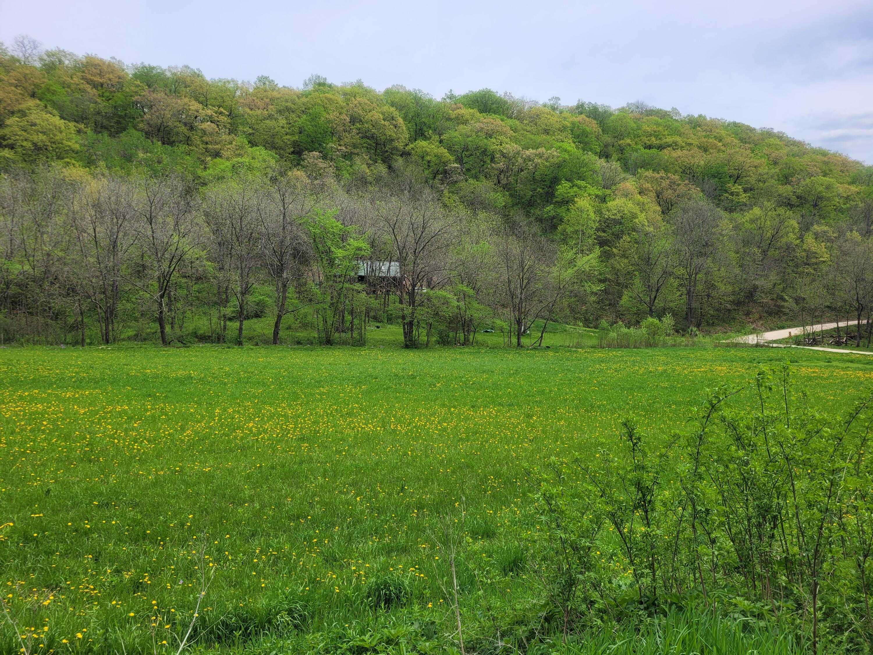 S4108 Haugrud Hollow Road Webster, WI 54639 - Photo 35 of 68 8165