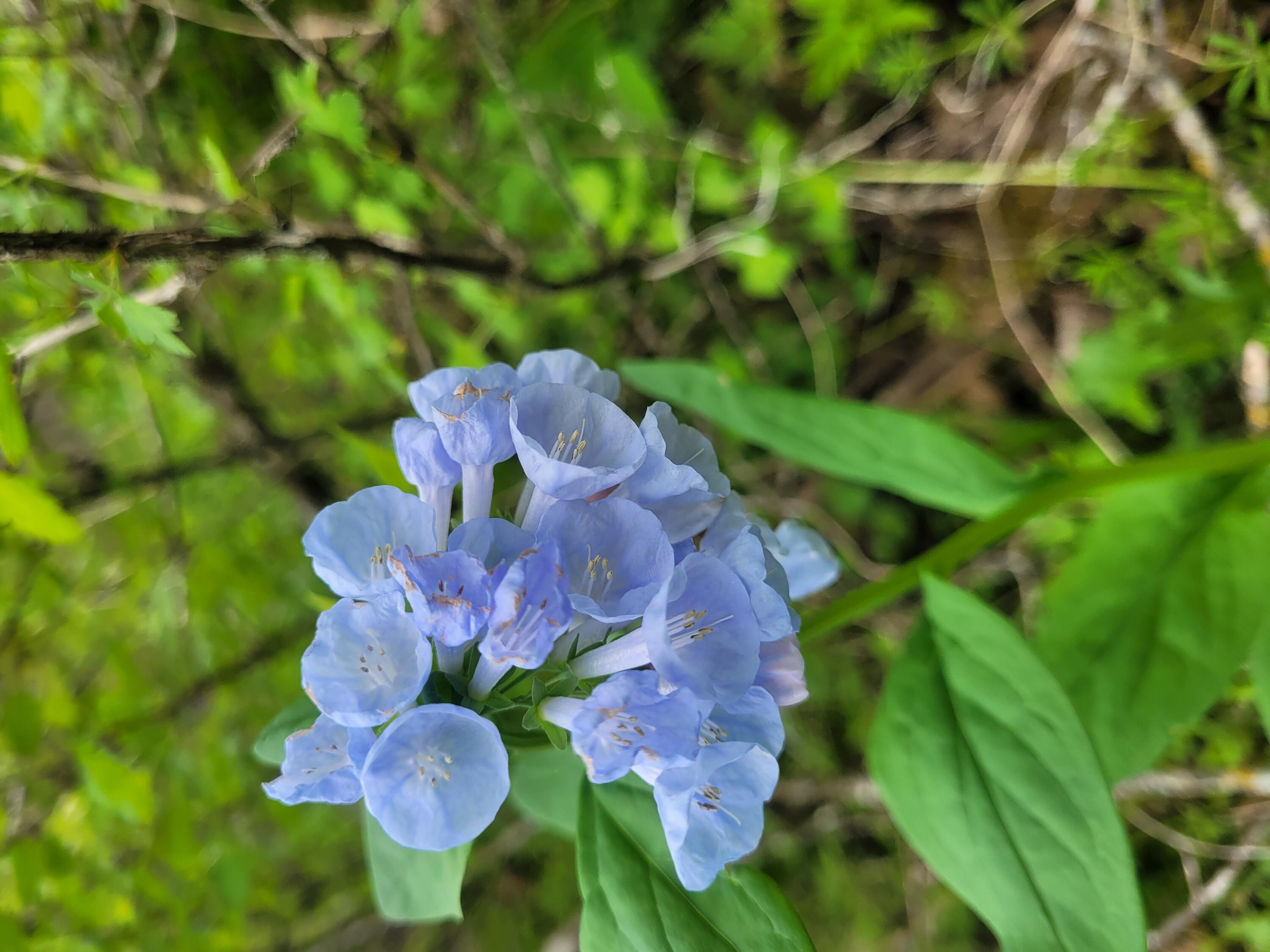 S4108 Haugrud Hollow Road Webster, WI 54639 - Photo 37 of 68 8170