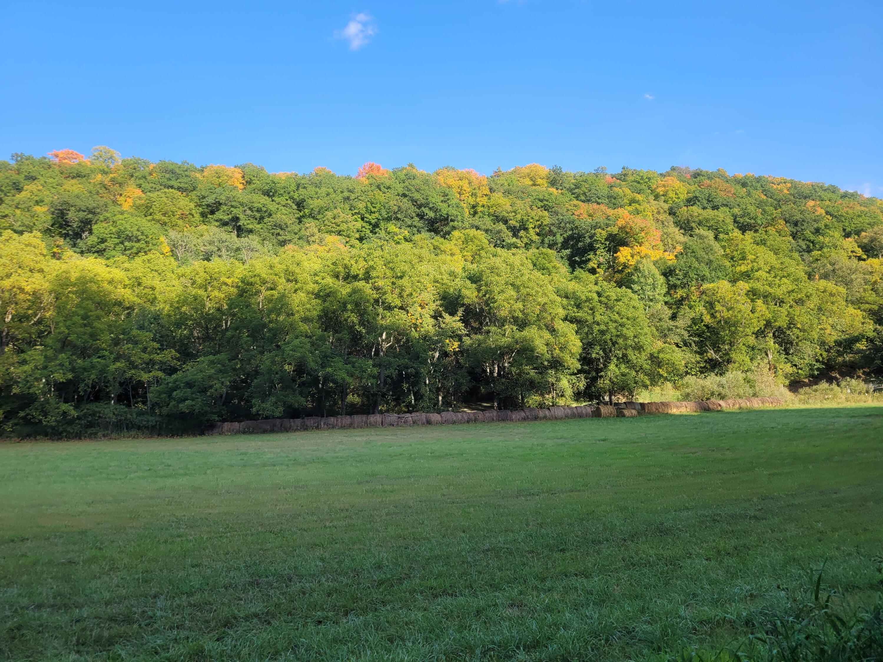 S4108 Haugrud Hollow Road Webster, WI 54639 - Photo 40 of 68 1000004054