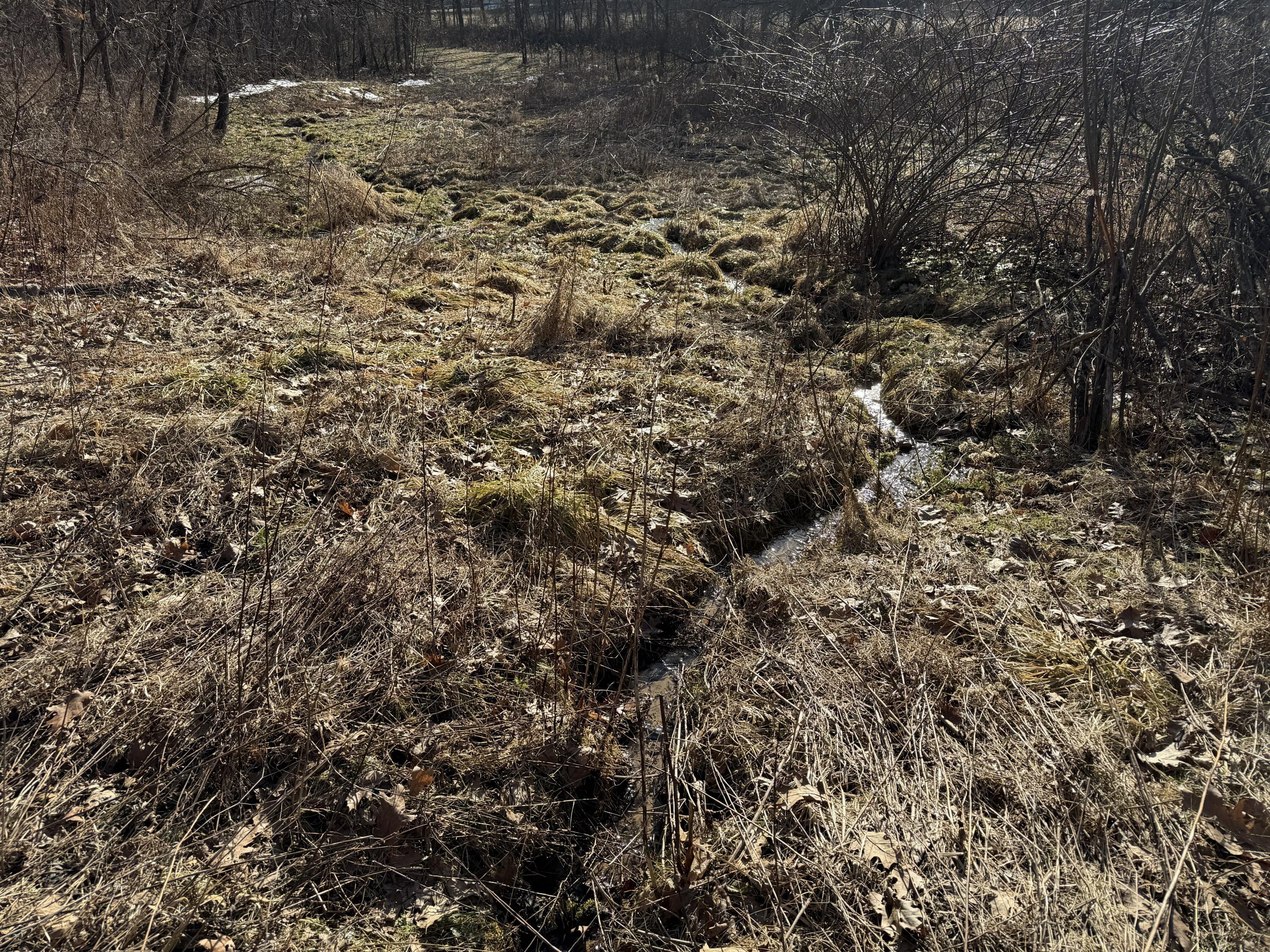 S4108 Haugrud Hollow Road Webster, WI 54639 - Photo 45 of 68 Springs