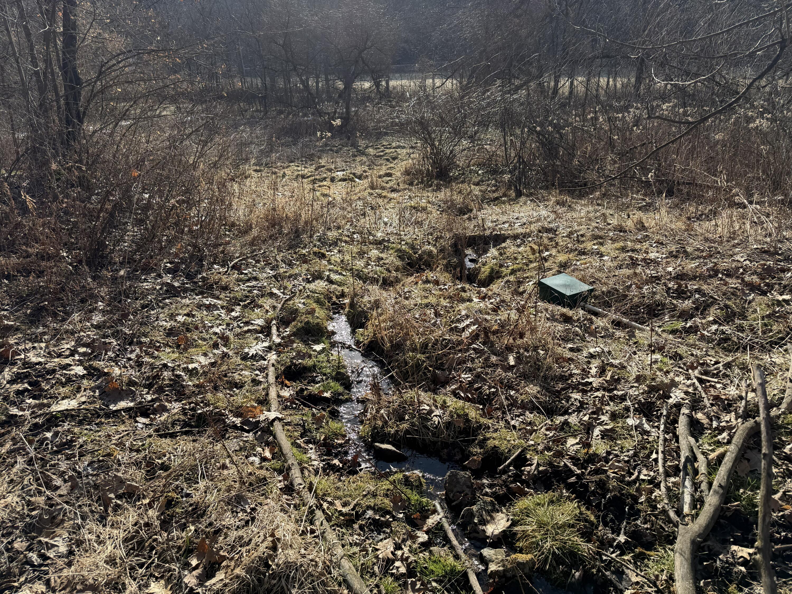 S4108 Haugrud Hollow Road Webster, WI 54639 - Photo 46 of 68 Springs and Spring Box