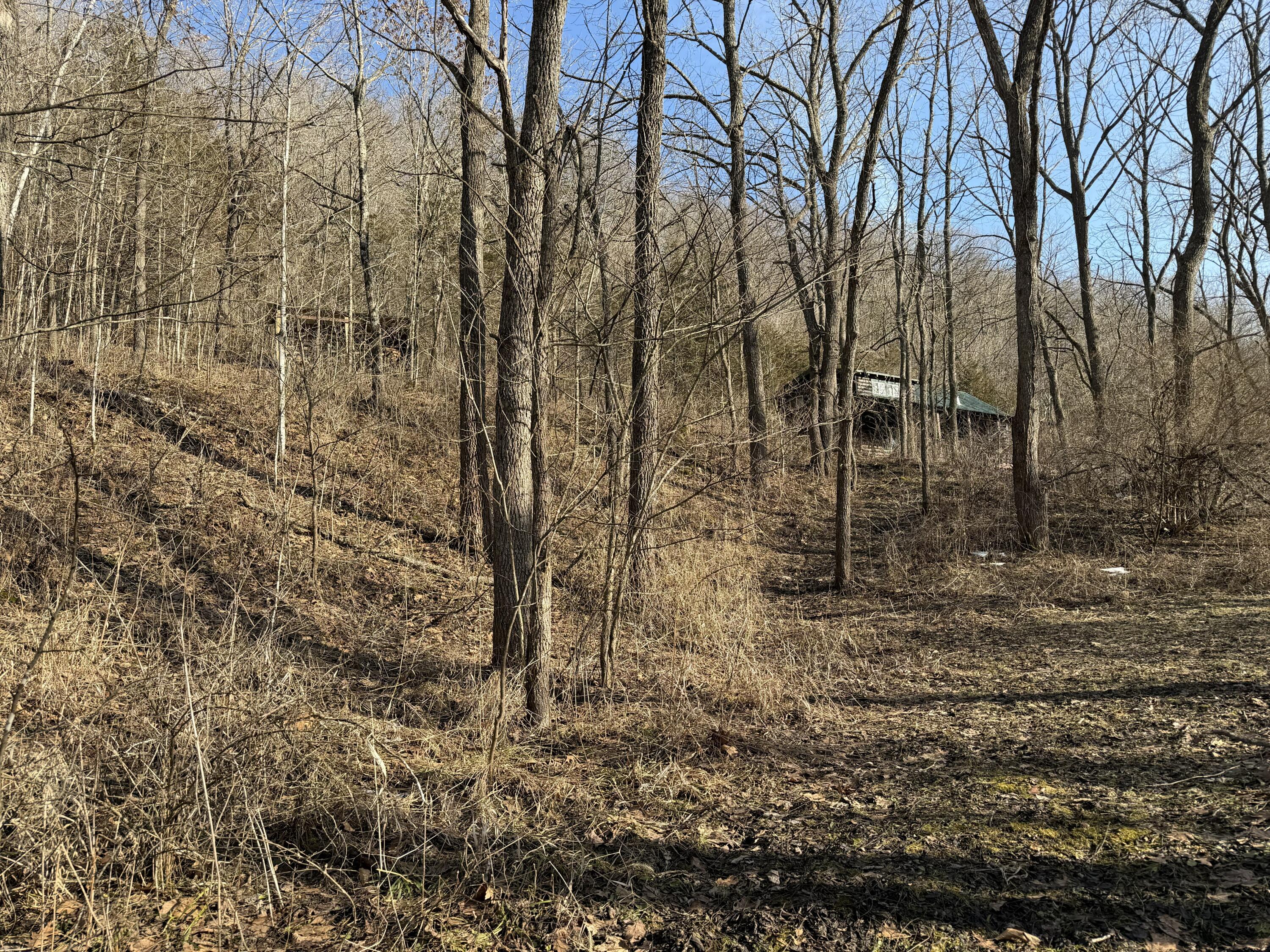 S4108 Haugrud Hollow Road Webster, WI 54639 - Photo 49 of 68 20260215_211357525_iOS