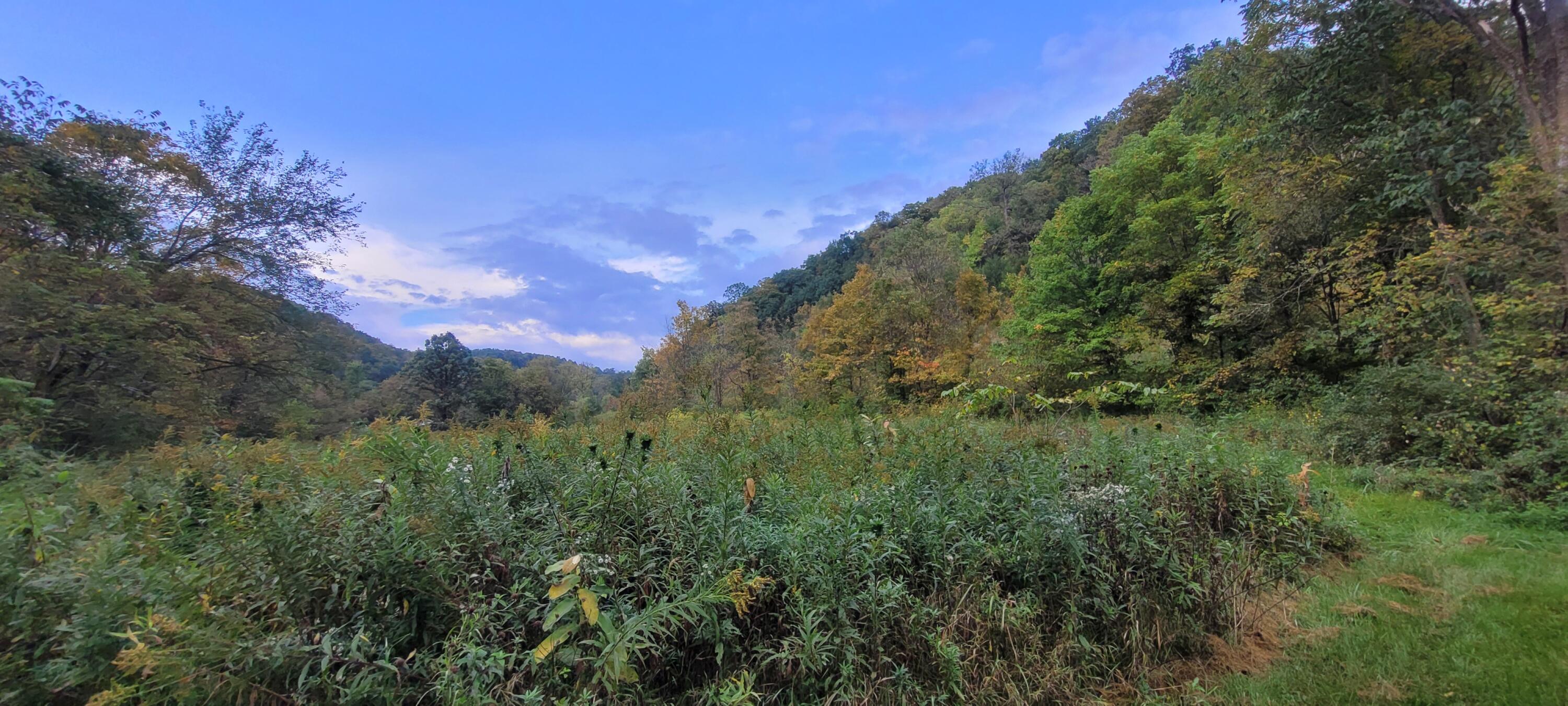 S4108 Haugrud Hollow Road Webster, WI 54639 - Photo 52 of 68 20220924_164636