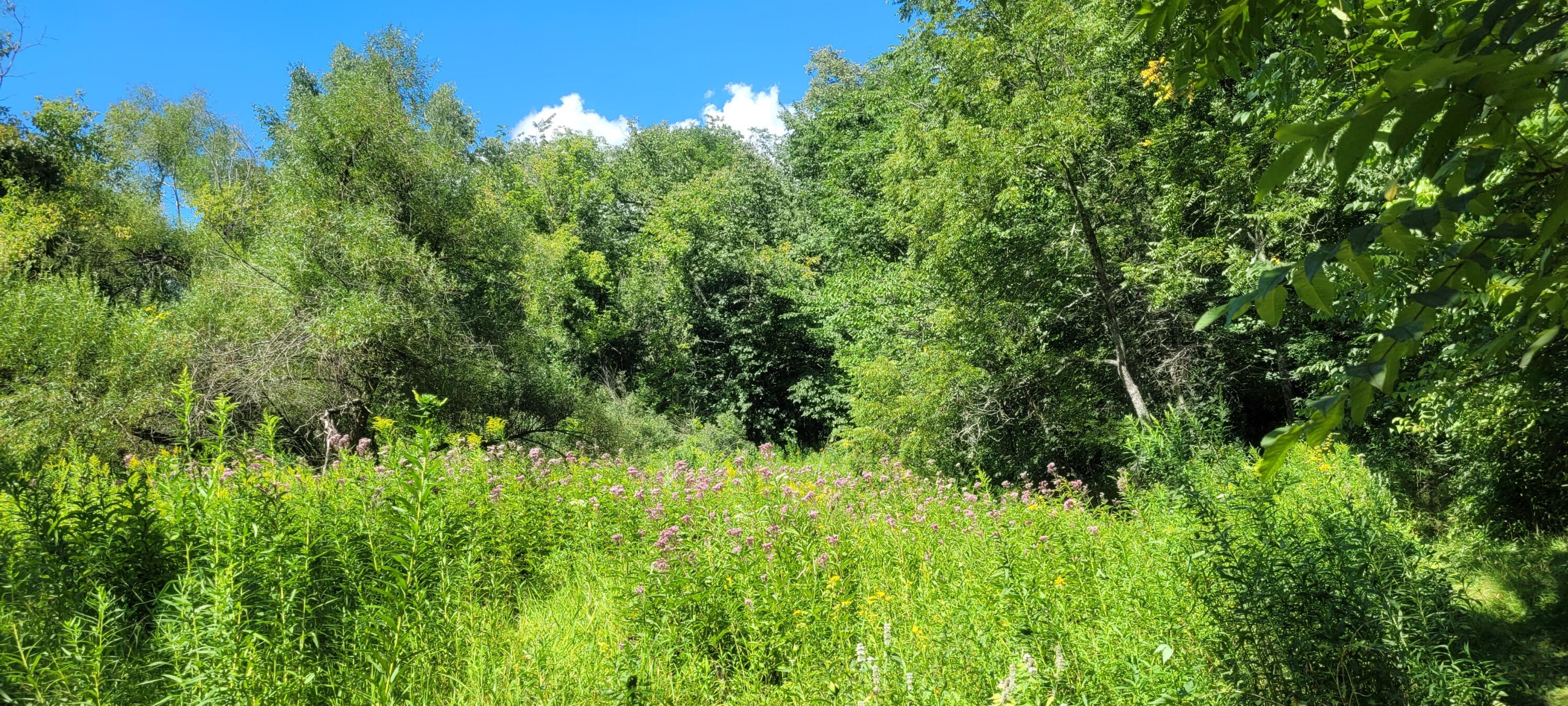 S4108 Haugrud Hollow Road Webster, WI 54639 - Photo 54 of 68 20230812_152309