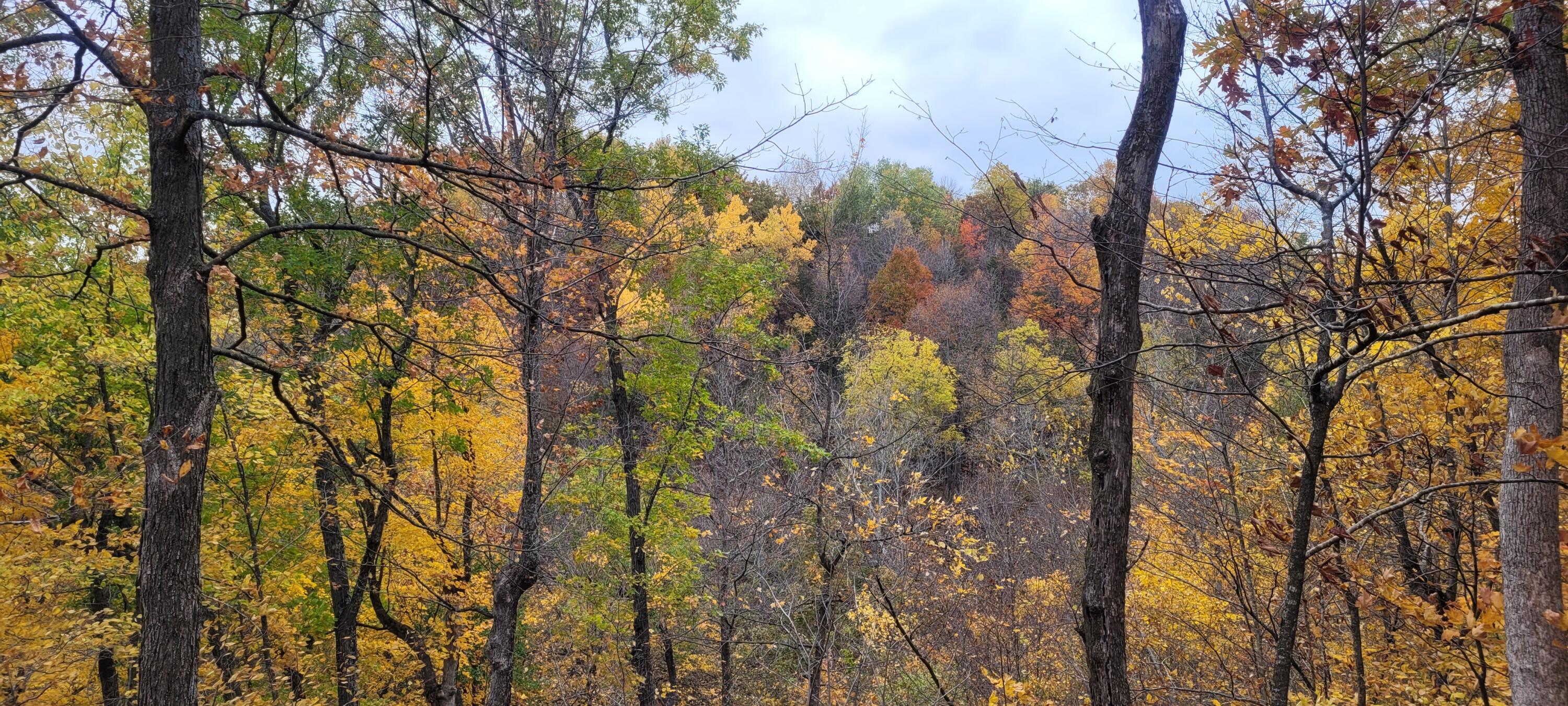 S4108 Haugrud Hollow Road Webster, WI 54639 - Photo 55 of 68 20231021_142211