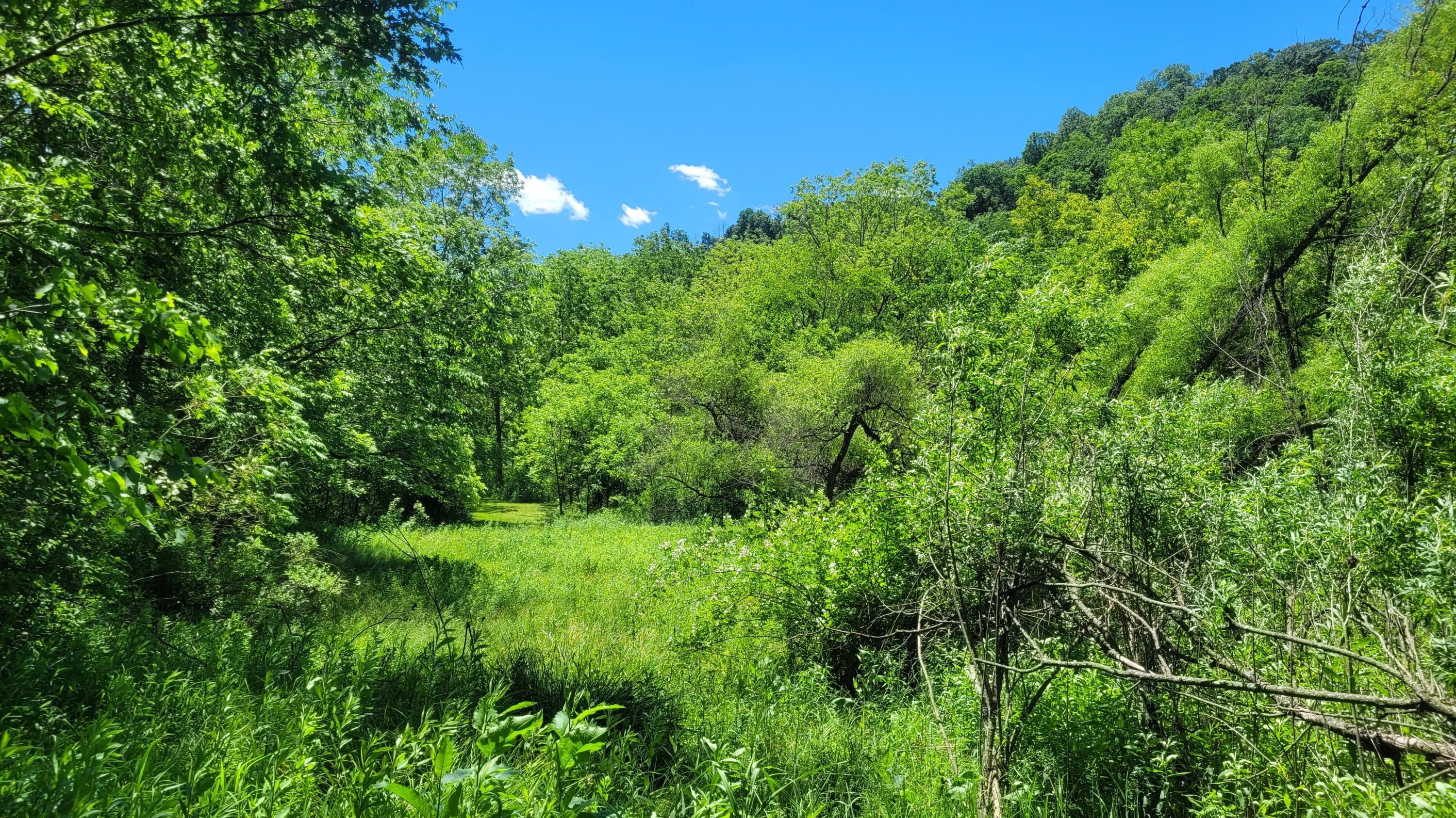 S4108 Haugrud Hollow Road Webster, WI 54639 - Photo 57 of 68 20240609_130002
