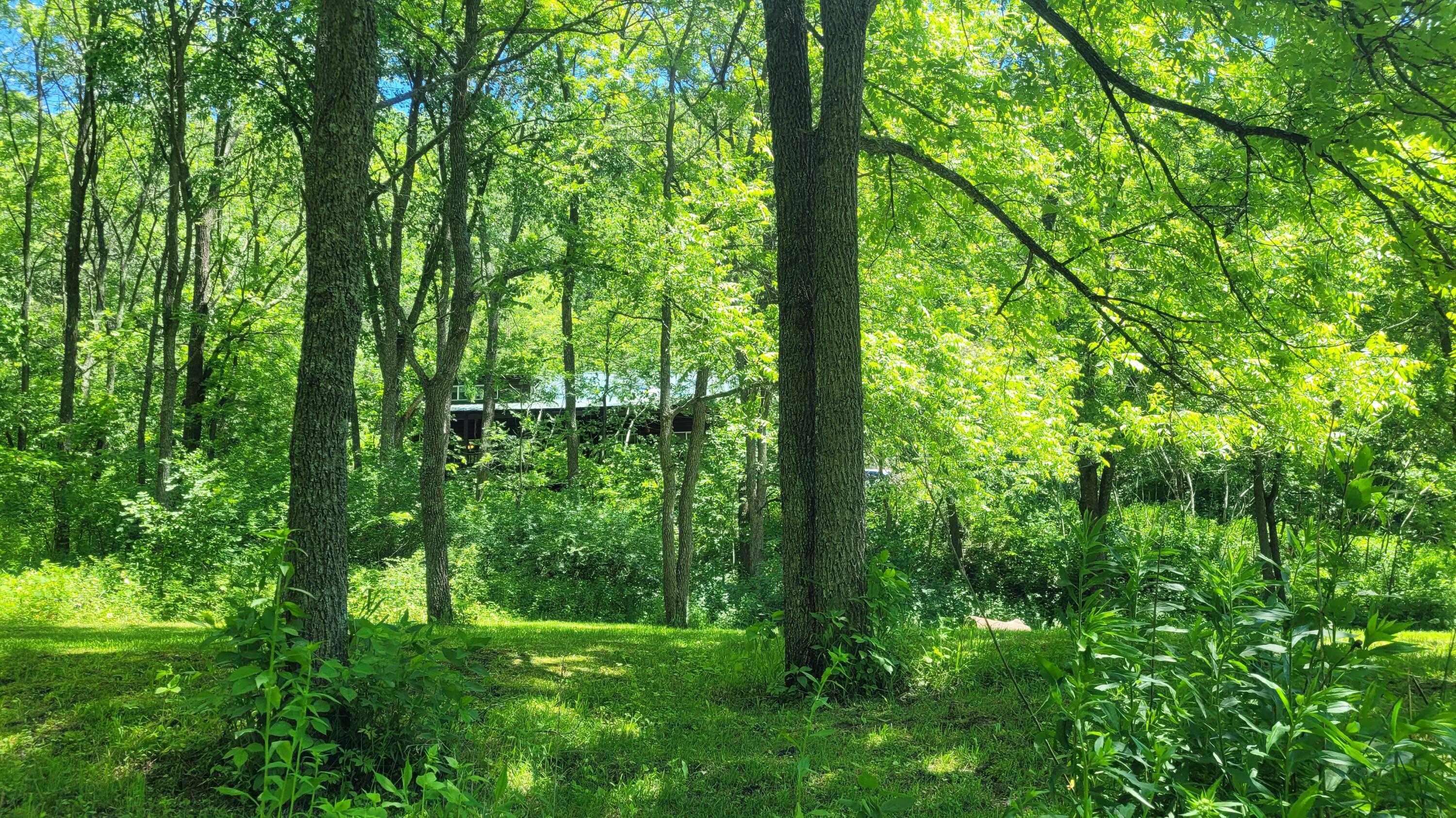 S4108 Haugrud Hollow Road Webster, WI 54639 - Photo 58 of 68 20240609_130750