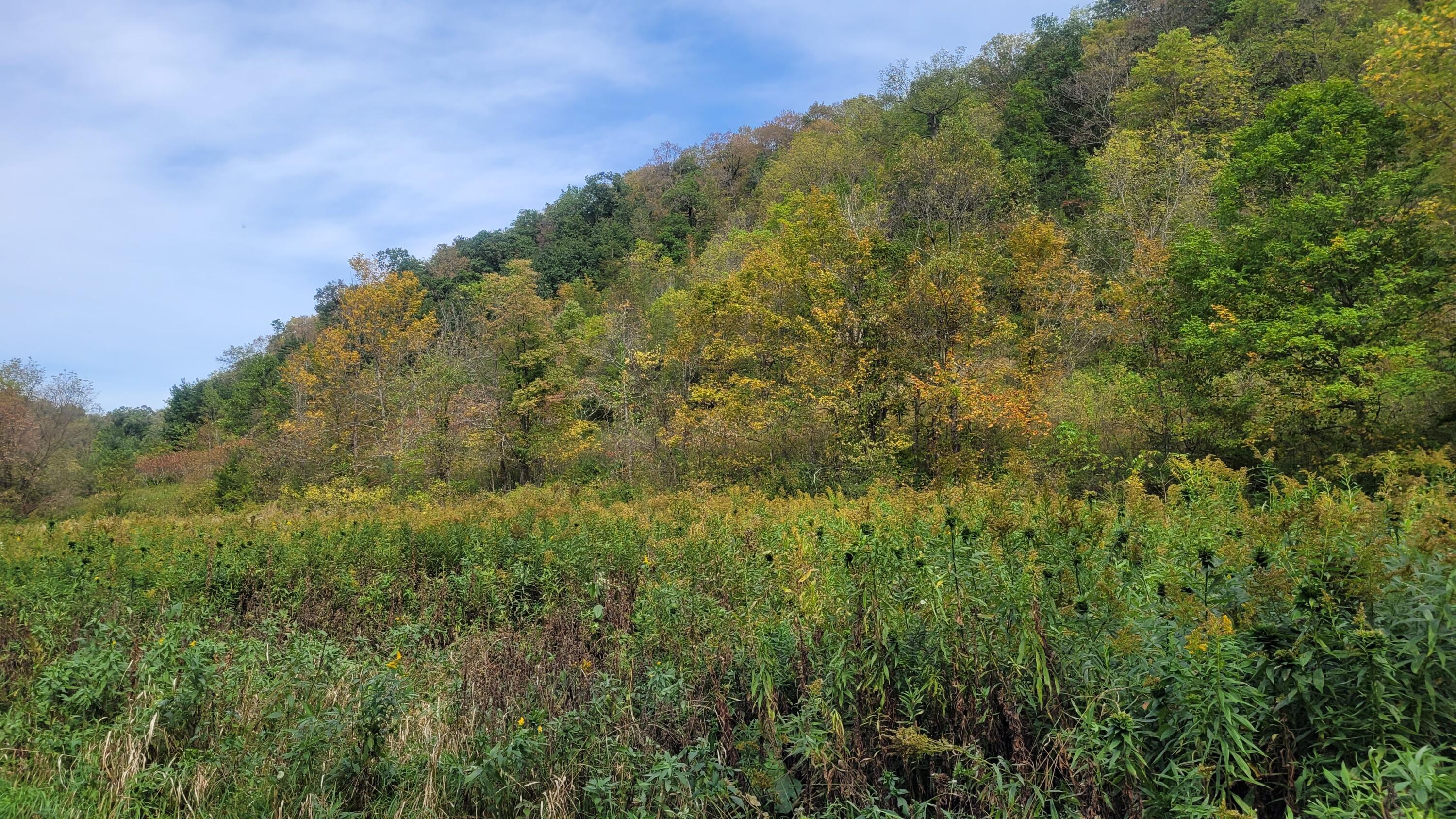S4108 Haugrud Hollow Road Webster, WI 54639 - Photo 59 of 68 20240922_134341