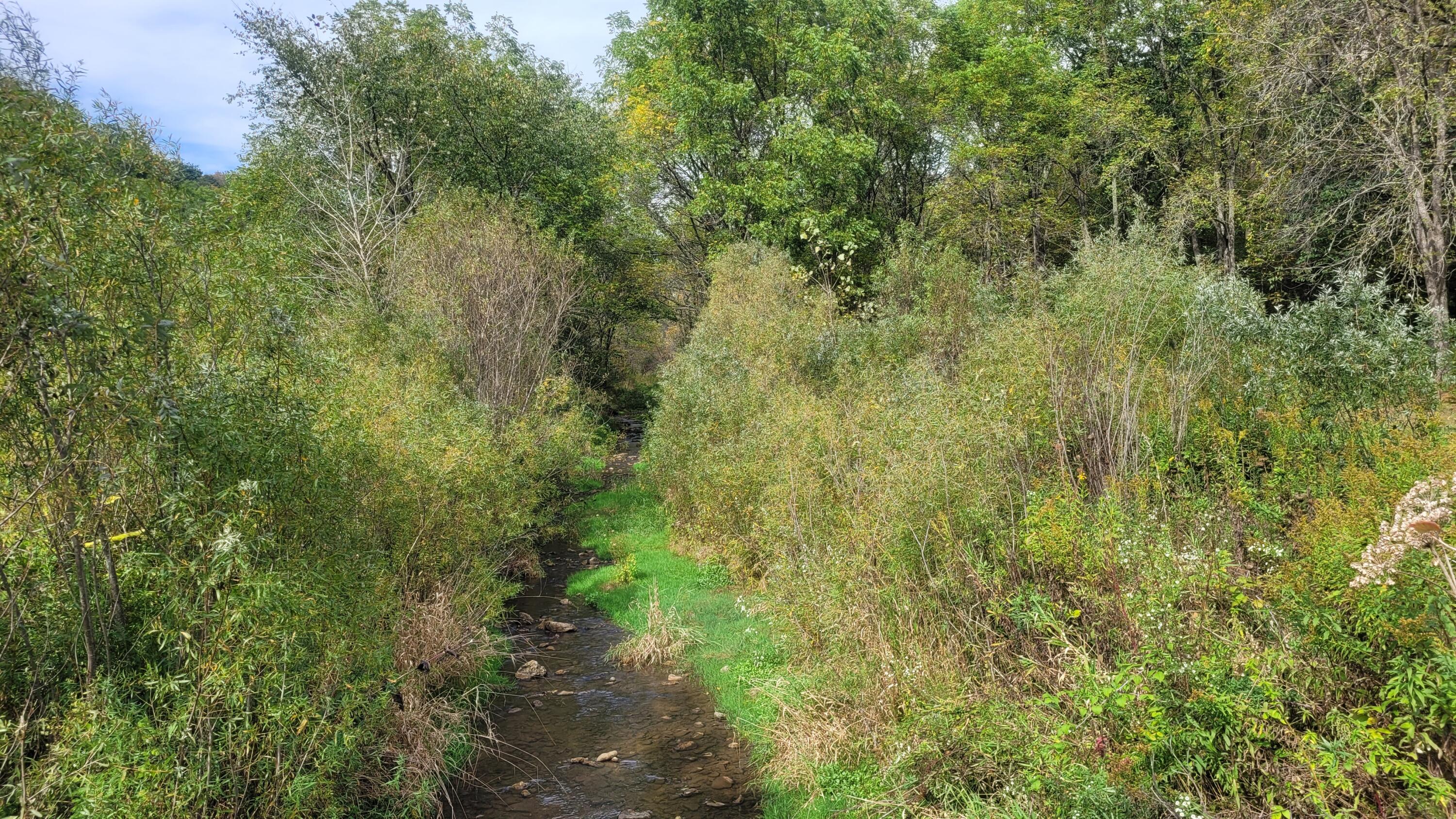 S4108 Haugrud Hollow Road Webster, WI 54639 - Photo 60 of 68 20240922_143110