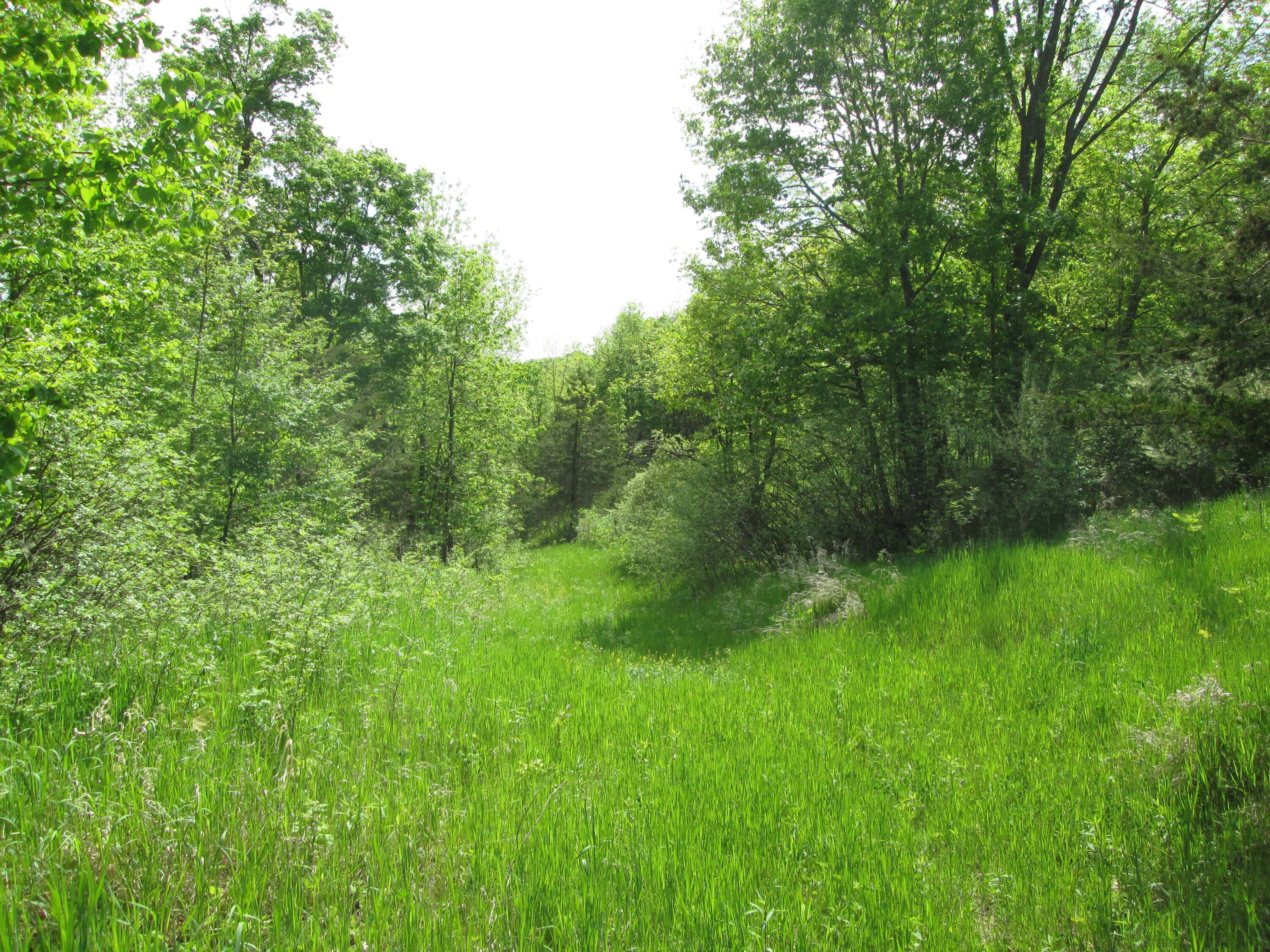 S4108 Haugrud Hollow Road Webster, WI 54639 - Photo 63 of 68 IMG_3851