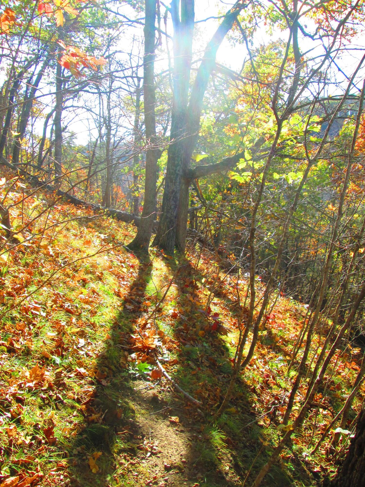 S4108 Haugrud Hollow Road Webster, WI 54639 - Photo 64 of 68 IMG_4732