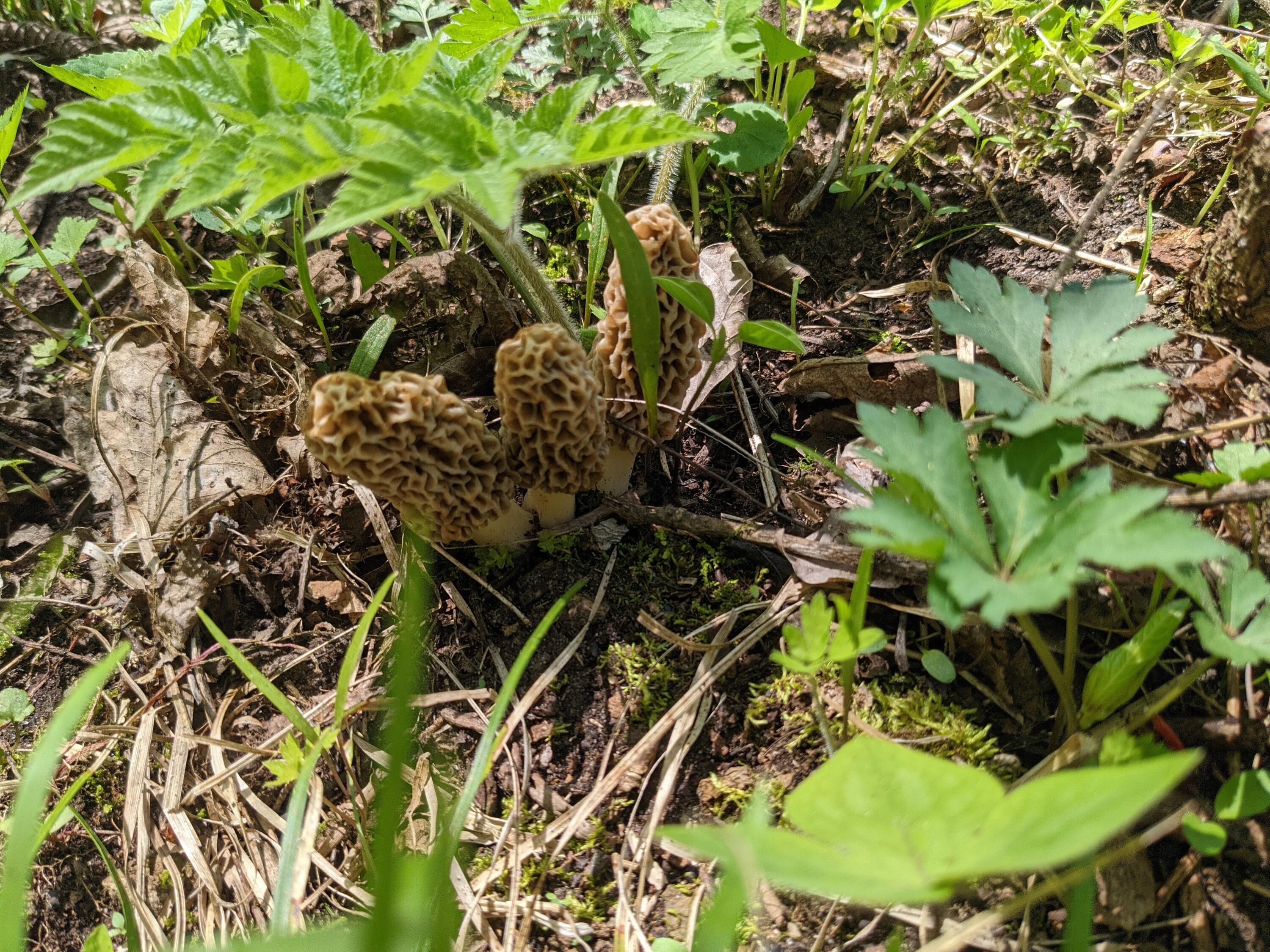 S4108 Haugrud Hollow Road Webster, WI 54639 - Photo 65 of 68 PXL_20220514_201857251.MP