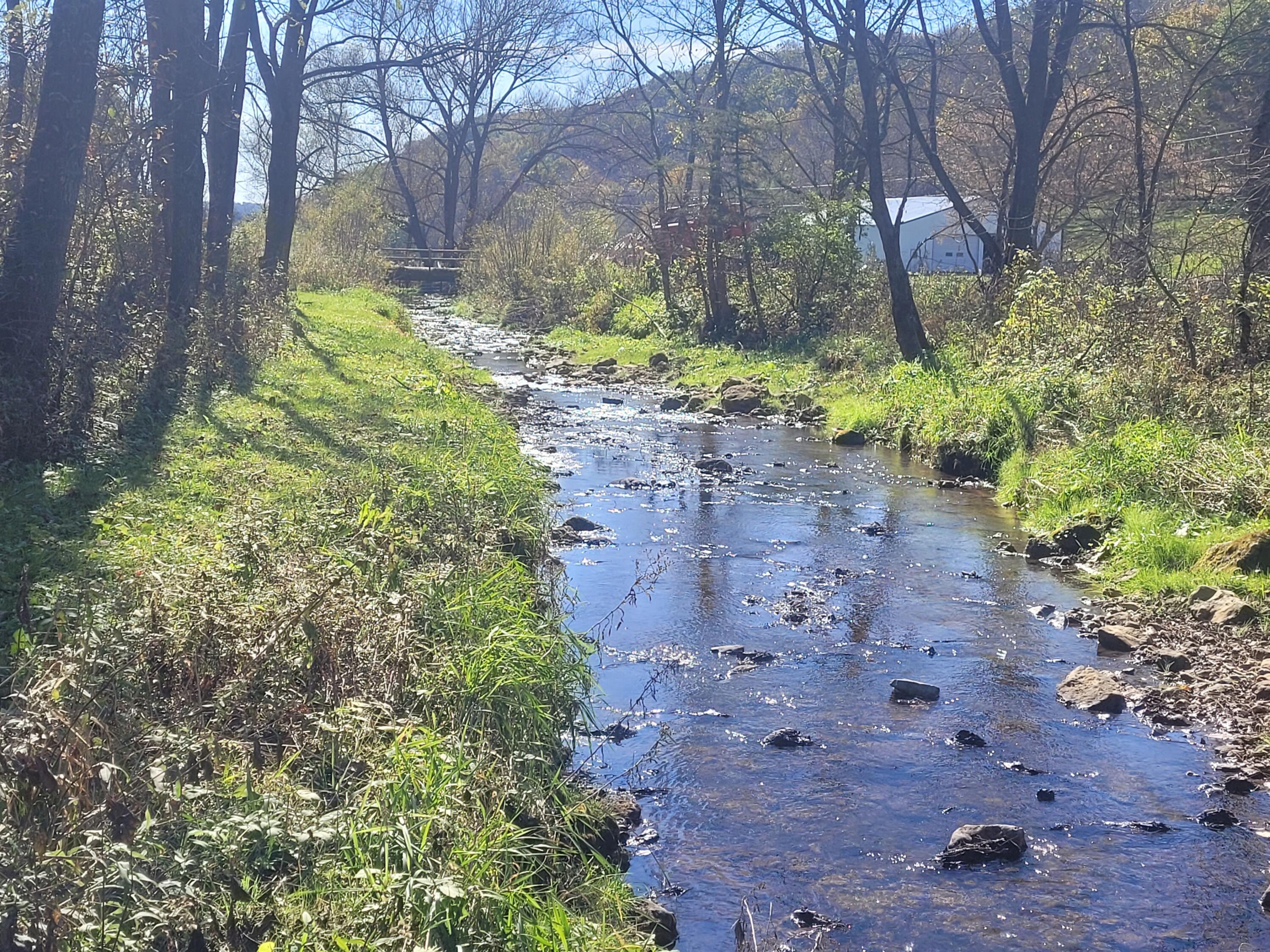S4108 Haugrud Hollow Road Webster, WI 54639 - Photo 6 of 68 3839