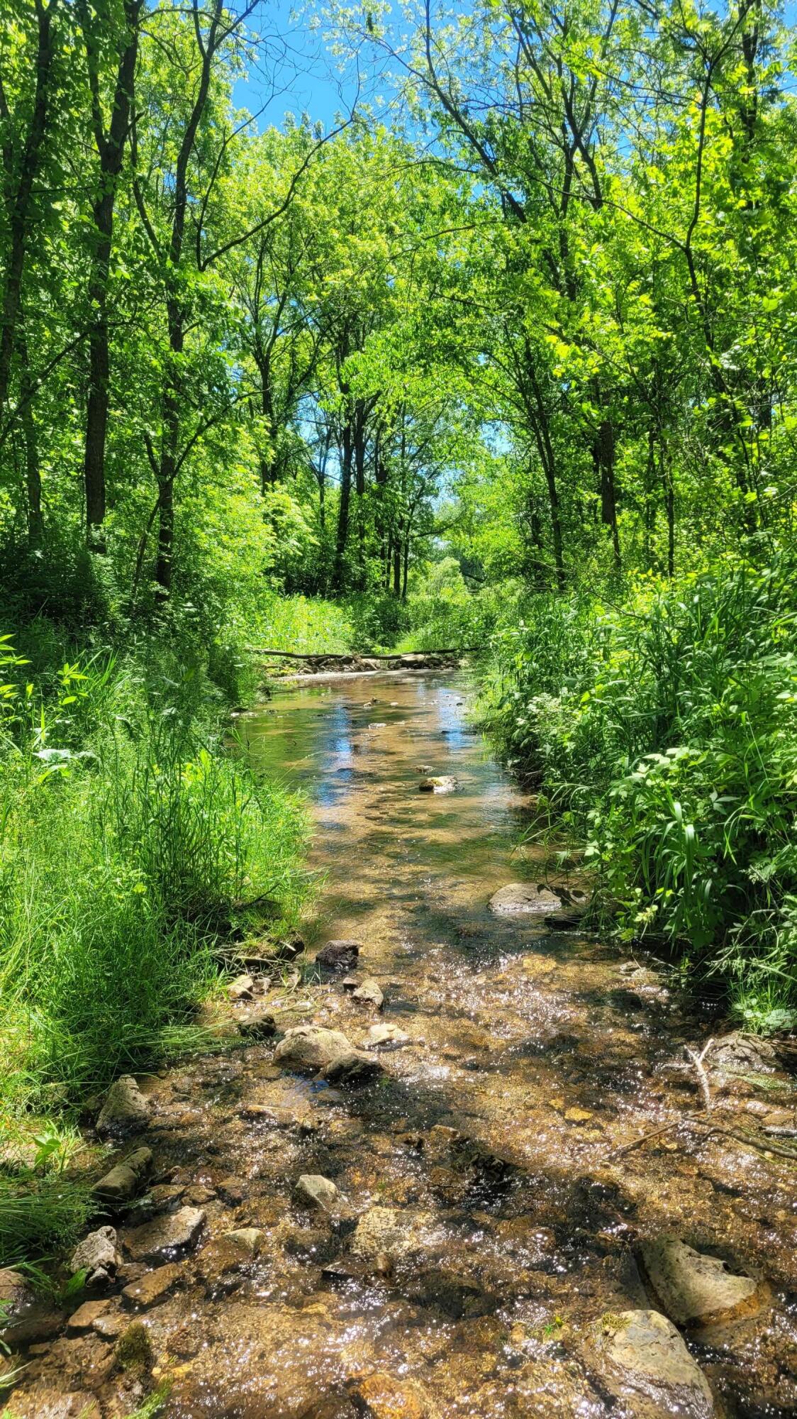 S4108 Haugrud Hollow Road Webster, WI 54639 - Photo 7 of 68 20240609_130351