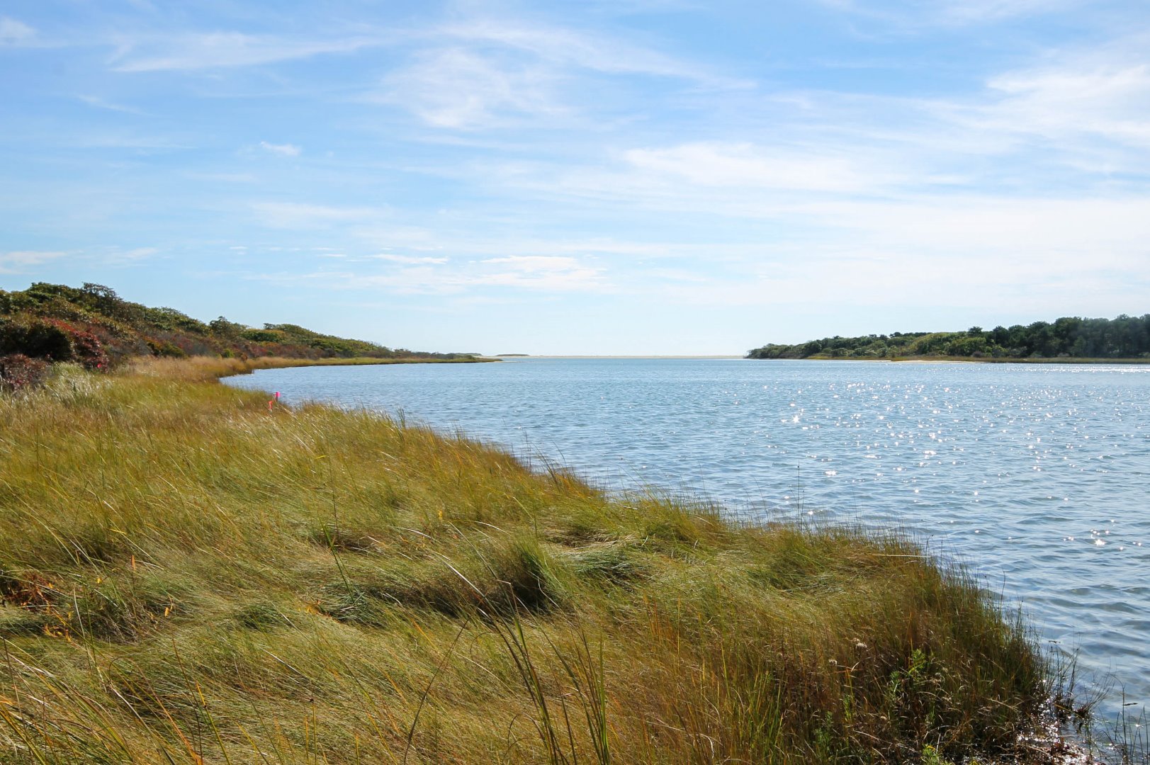 8 Jacob's Neck Road Edgartown, MA 02539 - Photo 6 of 32 Gallery Image 6