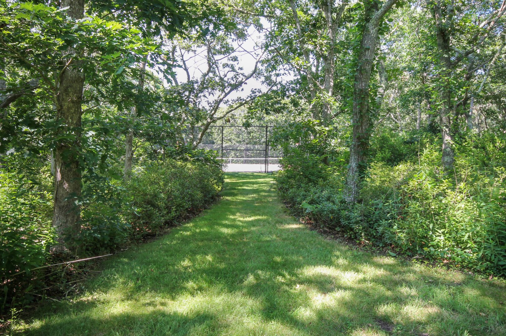 8 Jacob's Neck Road Edgartown, MA 02539 - Photo 10 of 32 Gallery Image 10