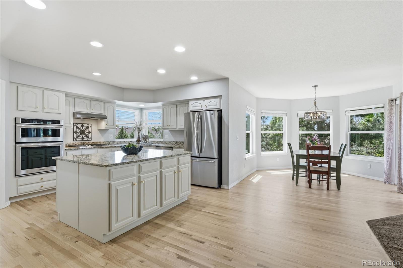 822 Shadowstone Drive Highlands Ranch, CO 80129 - Photo 14 of 45