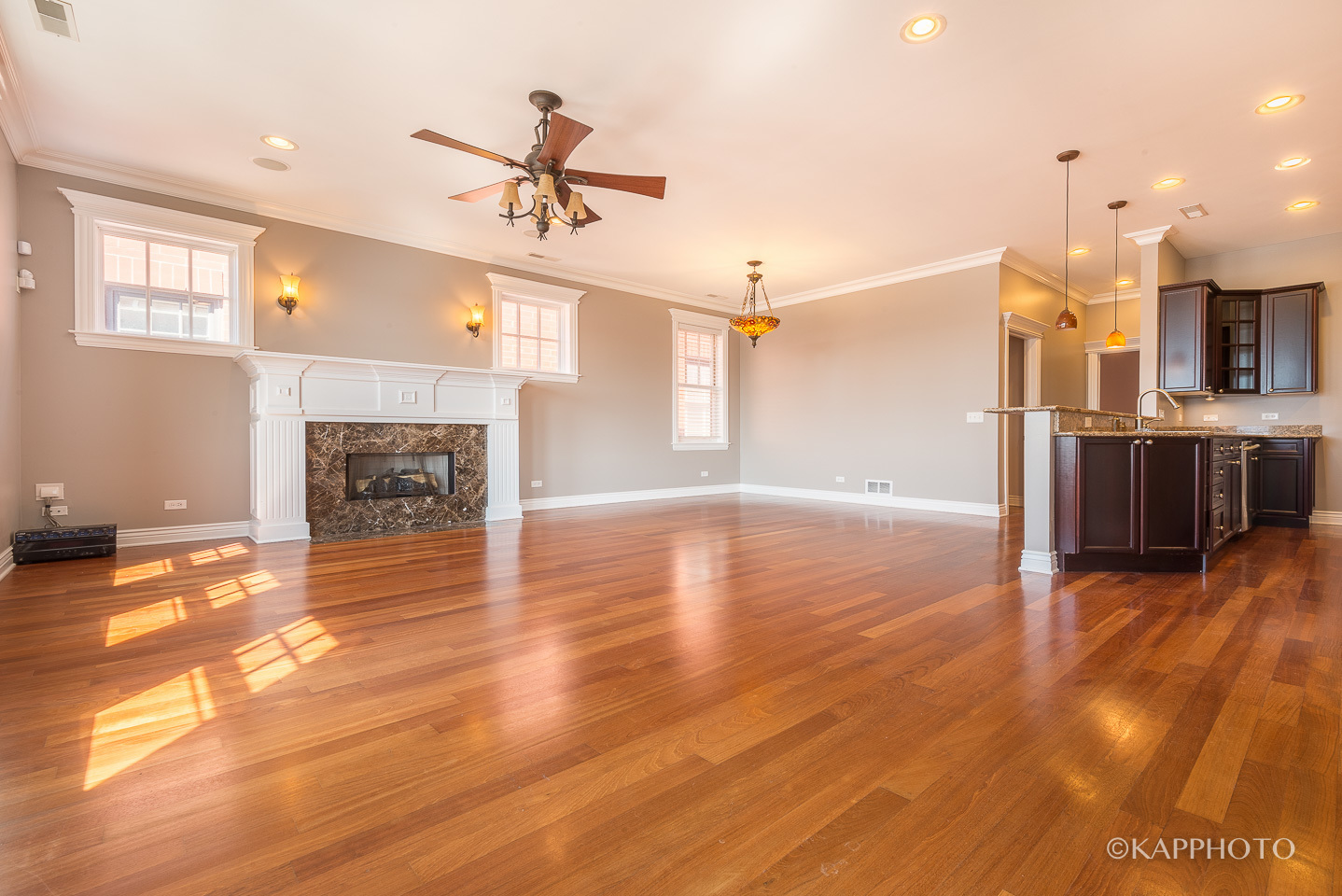 1148 West Monroe Street, Unit 6SW Chicago, IL 60607 - Photo 8 of 15 a view of a livingroom with a fireplace a ceiling fan and wooden floor