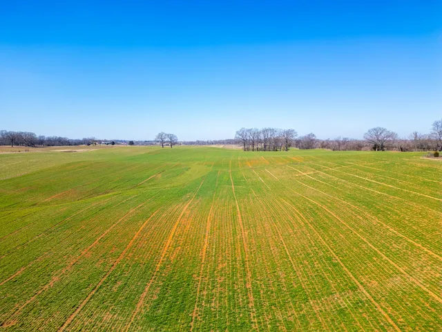 $513,625 | 1 Smith Road, Cedar Hill, TN 37032