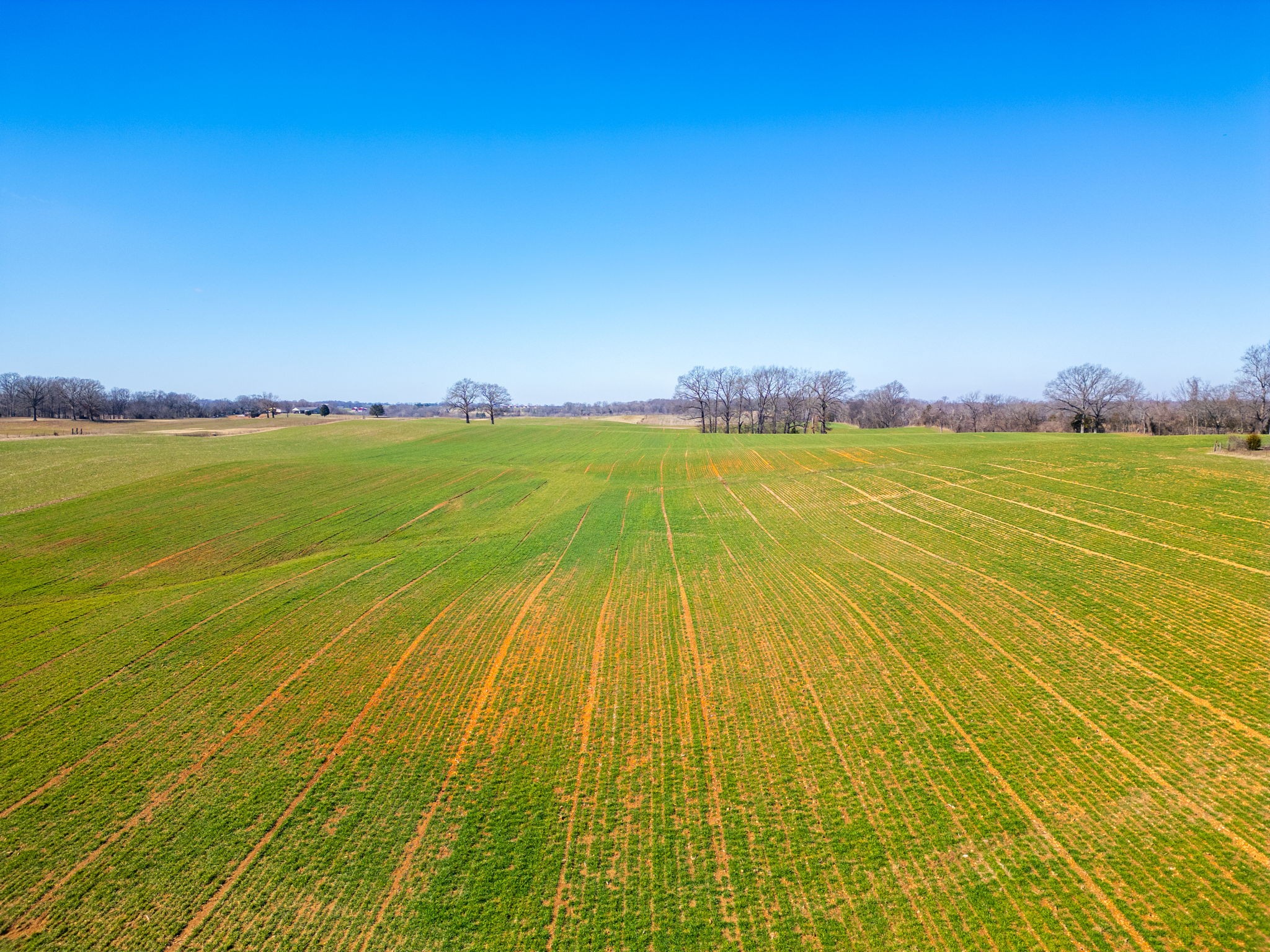 1 Smith Road Cedar Hill, TN 37032 - Photo 4 of 7