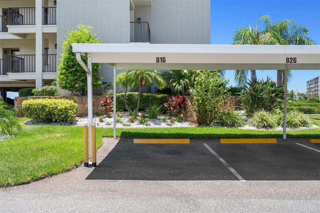 8211 Brent Street, Unit 816 Port Richey, FL 34668 - Photo 5 of 52 a front view of a house with a yard and potted plants