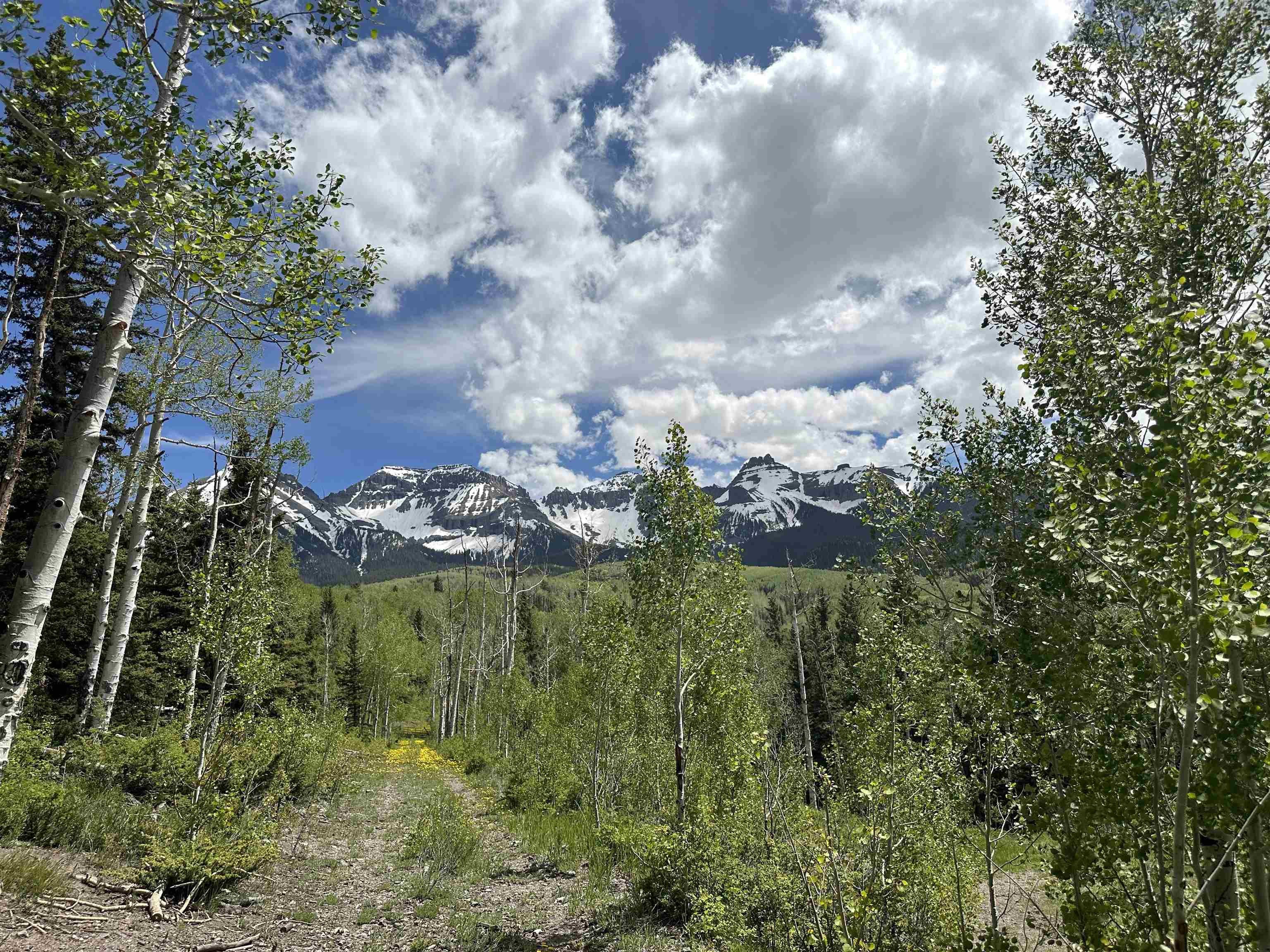 5 County Road 5, Unit TRACT 13 Ridgway, CO 81432 - Photo 11 of 19